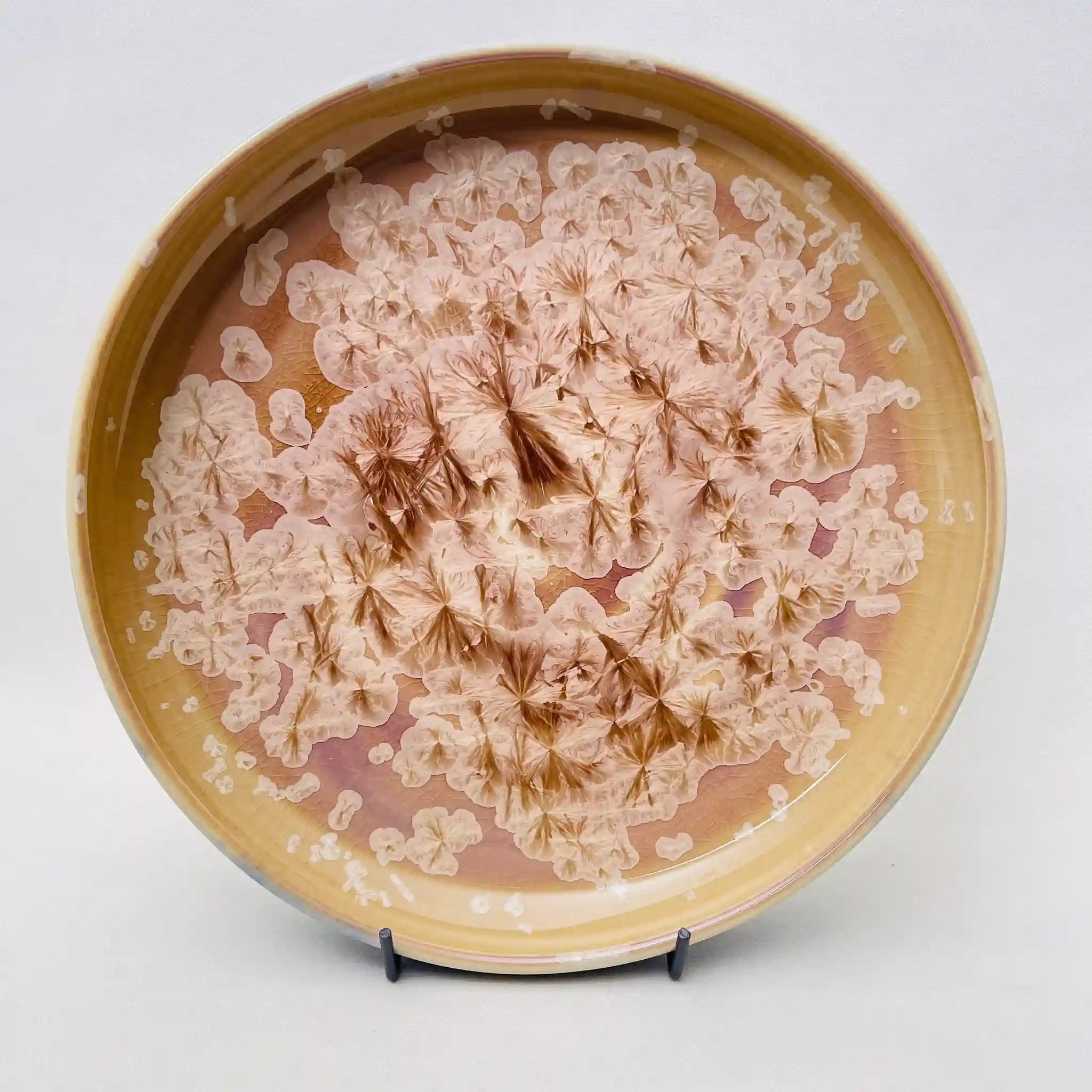 【骨董品】大皿 常滑焼 晴天窯 / 結晶釉 岩橋眞悟 日本 / 未使用 箱付き