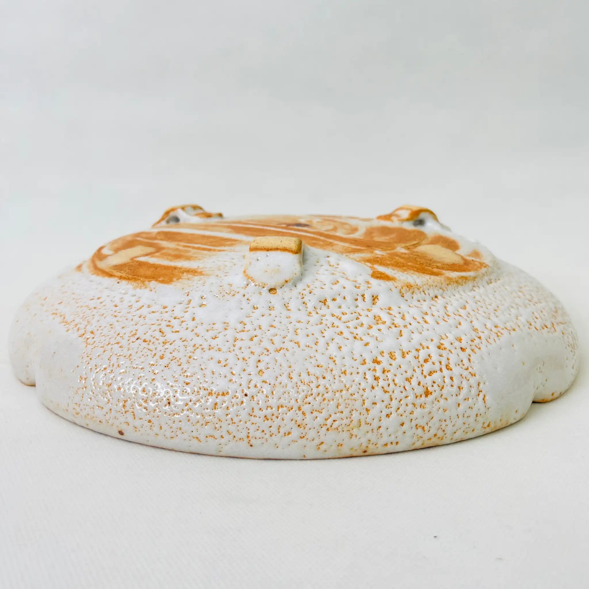 【骨董品】 大鉢 / 雅山窯 中島正雄 / 志野焼 / 陶器 / 日本 / 絵志野 / 箱付き