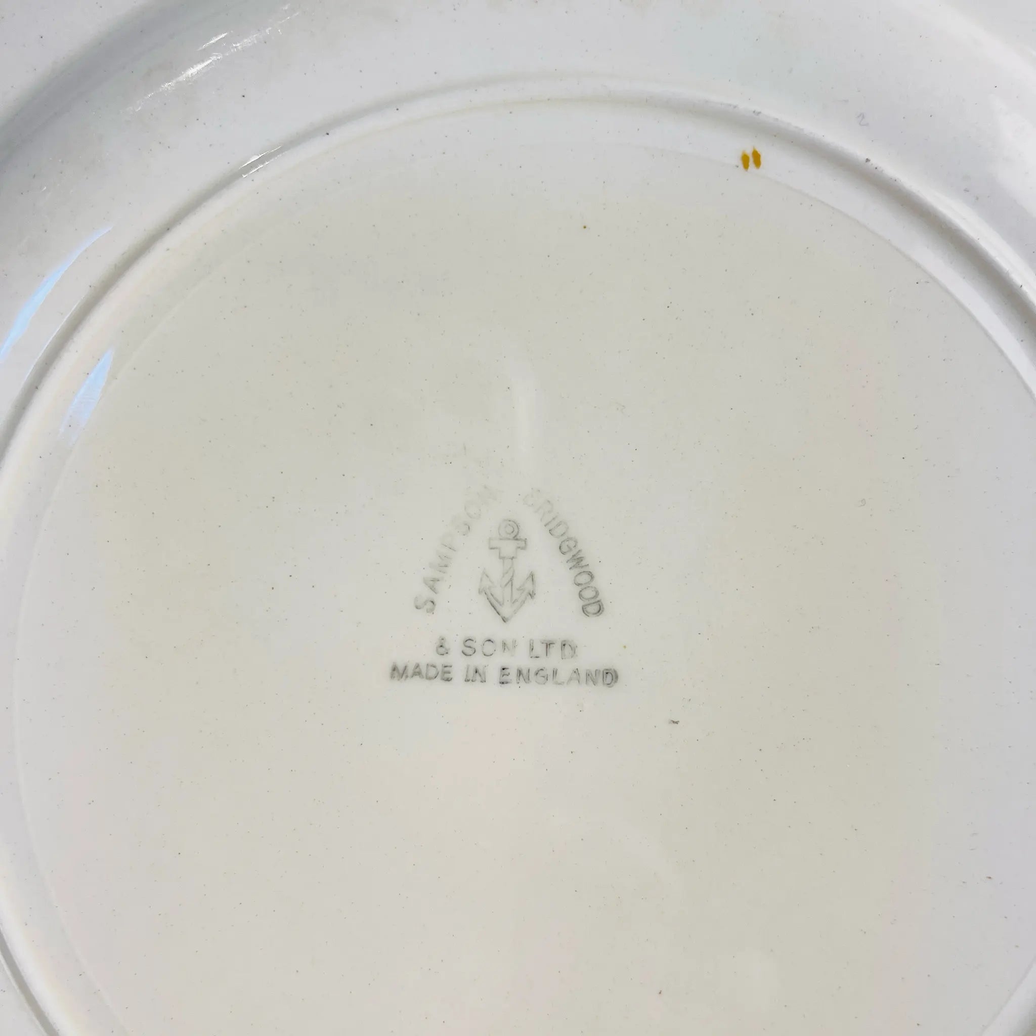 Vintage Plate / Sampson Bridgwood & Son / UK