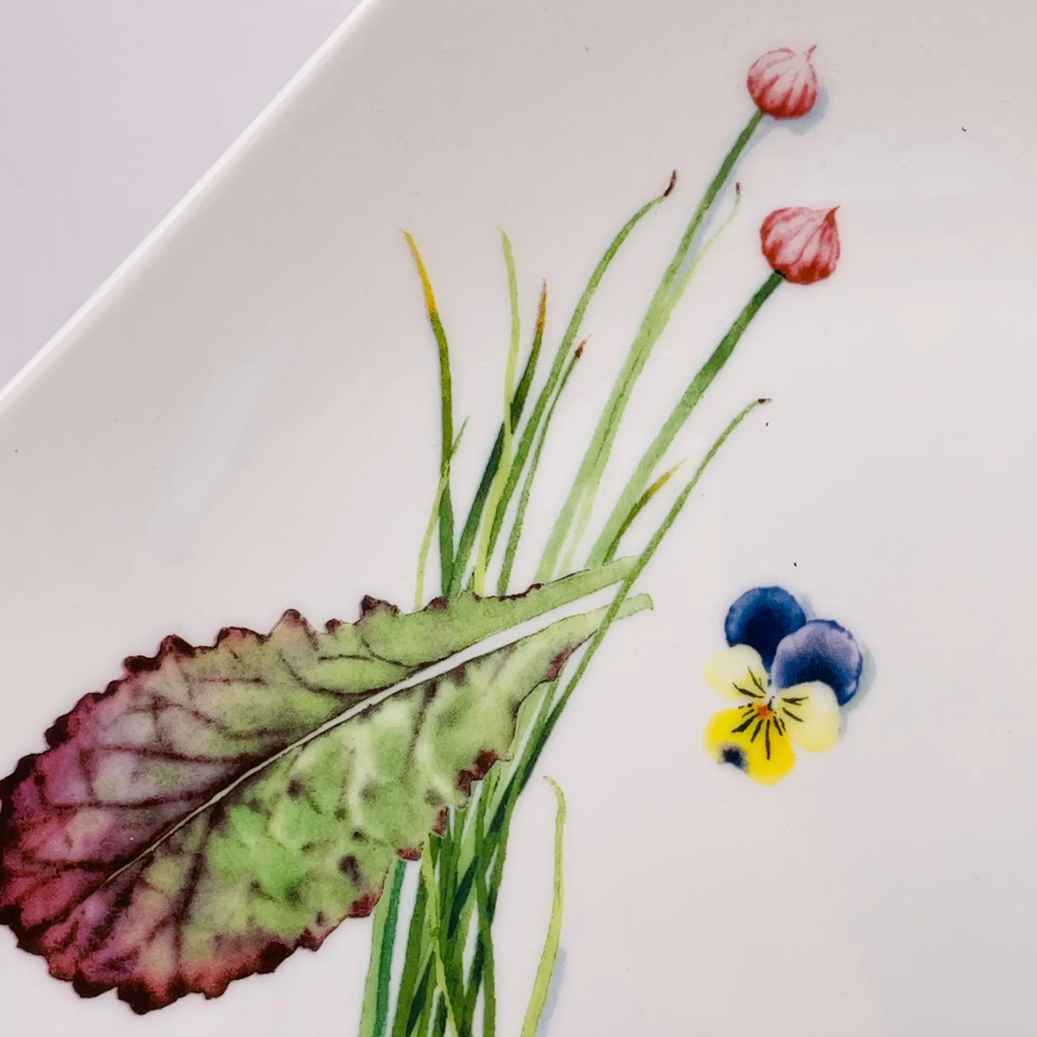 【リユース】 プレート(皿) / WEDGEWOOD(ウェッジウッド) / 未使用,箱あり