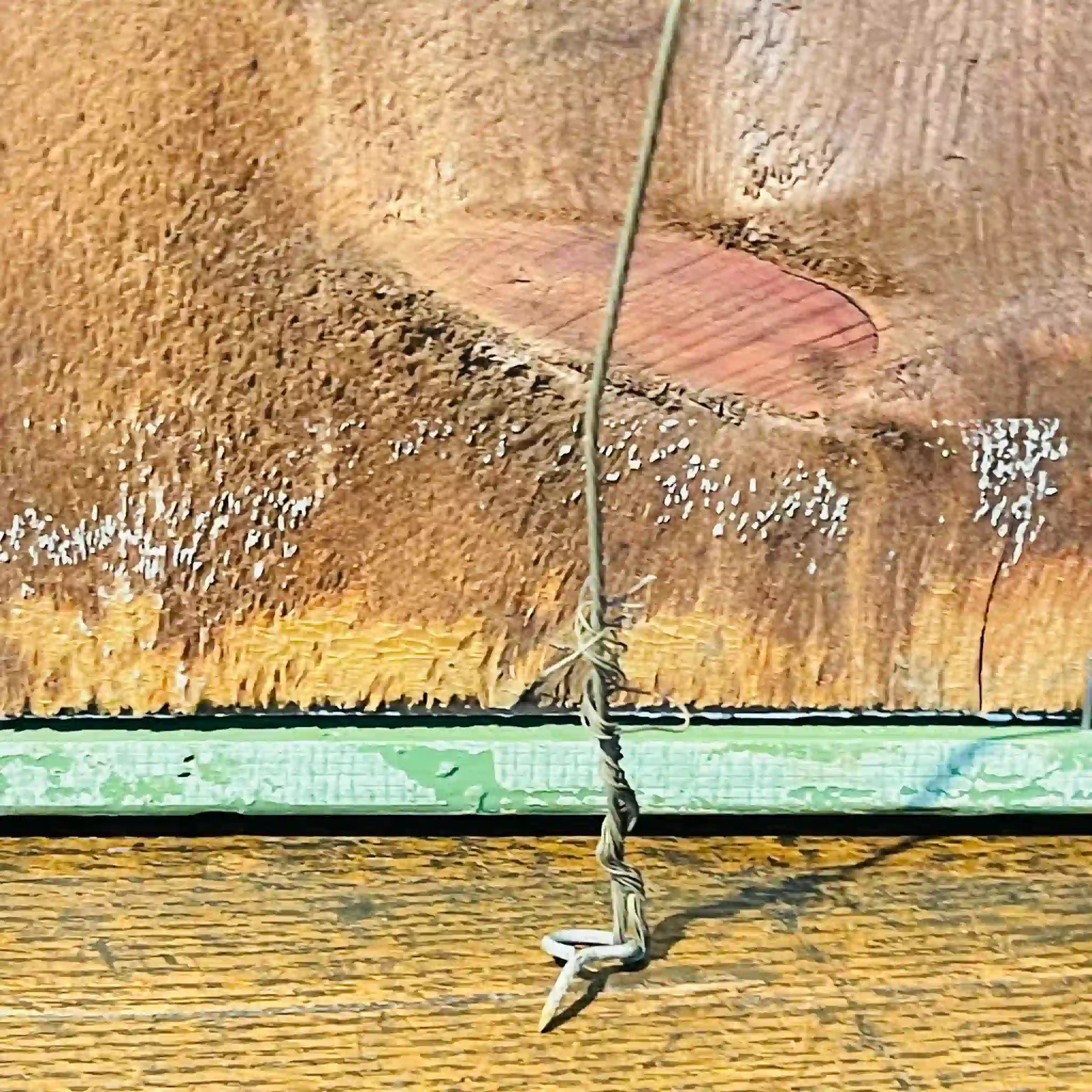 【アンティーク】 エスタンプ(複製版画) / コレスチン・ブルグナー / 
 / サイン入り イギリス直輸入