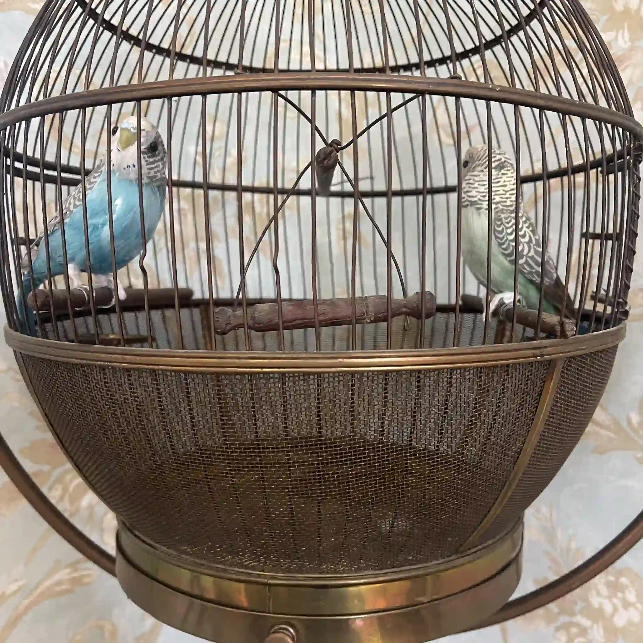 【アンティーク】 鳥カゴ /
/ 20世紀初頭(推定) / 真鍮 / イギリス / イギリス直輸入