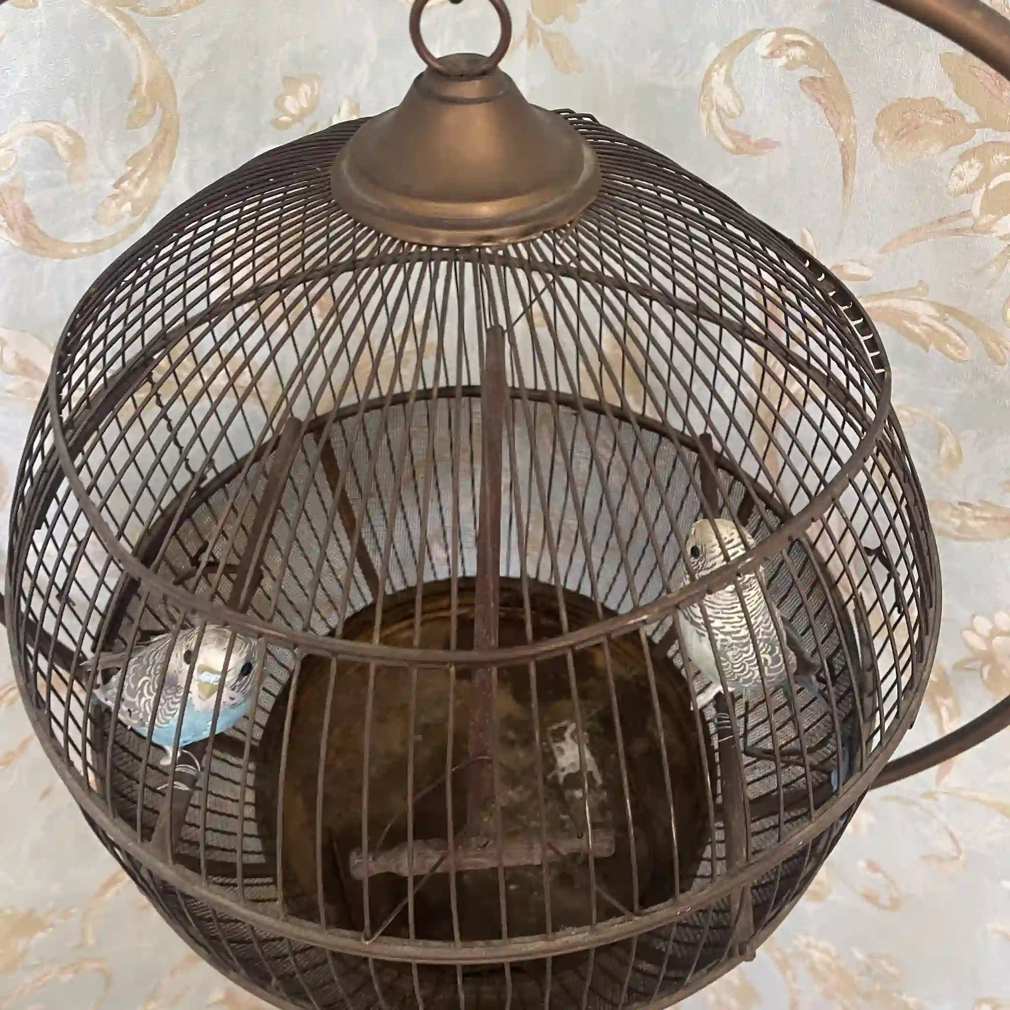 【アンティーク】 鳥カゴ /
/ 20世紀初頭(推定) / 真鍮 / イギリス / イギリス直輸入