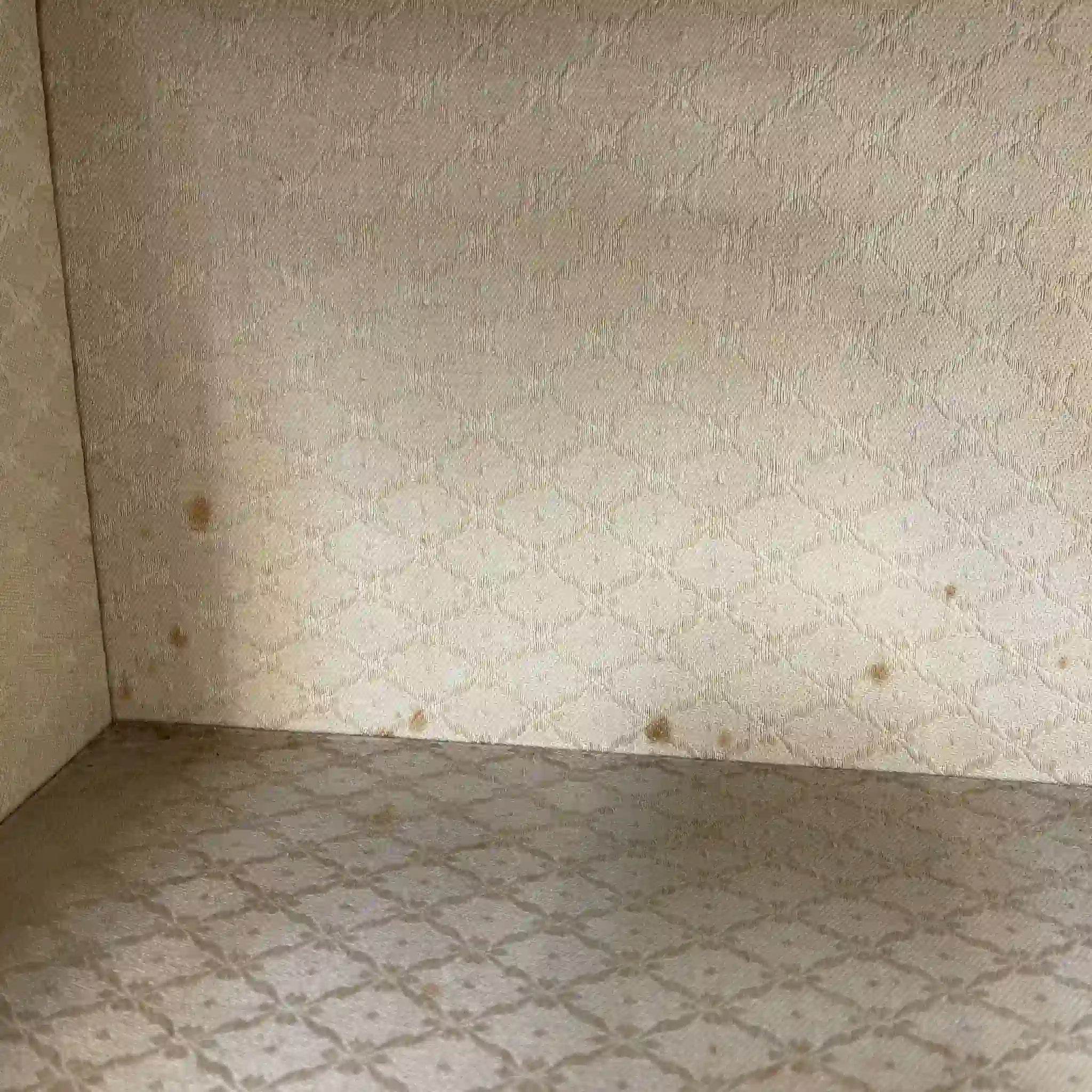 【古董】橱柜