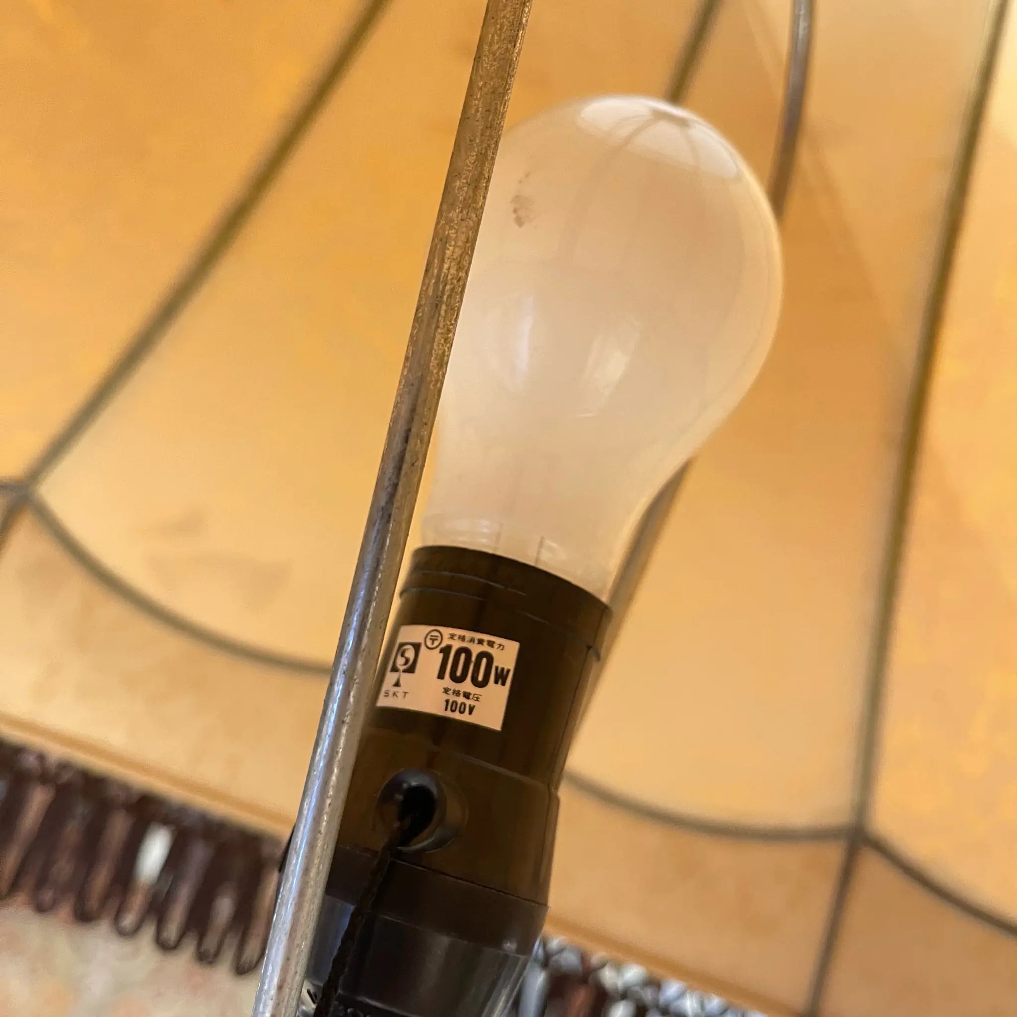 [Vintage] Vintage Floor Light with Tassel Shade
