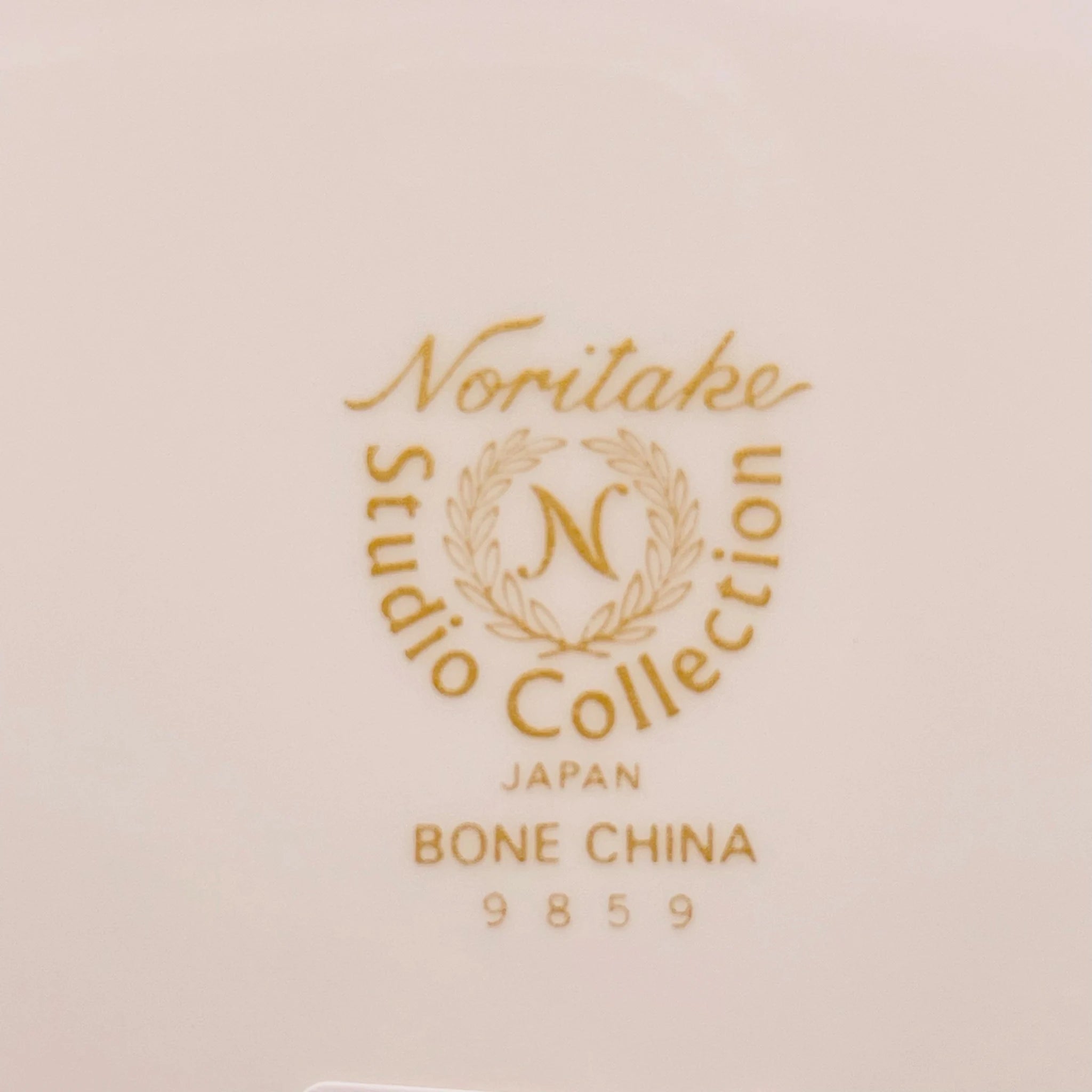 【リユース】 プレート(皿) / Noritake(ノリタケ) / スタジオコレクション / Bone China / 未使用,箱あり / 箱付き