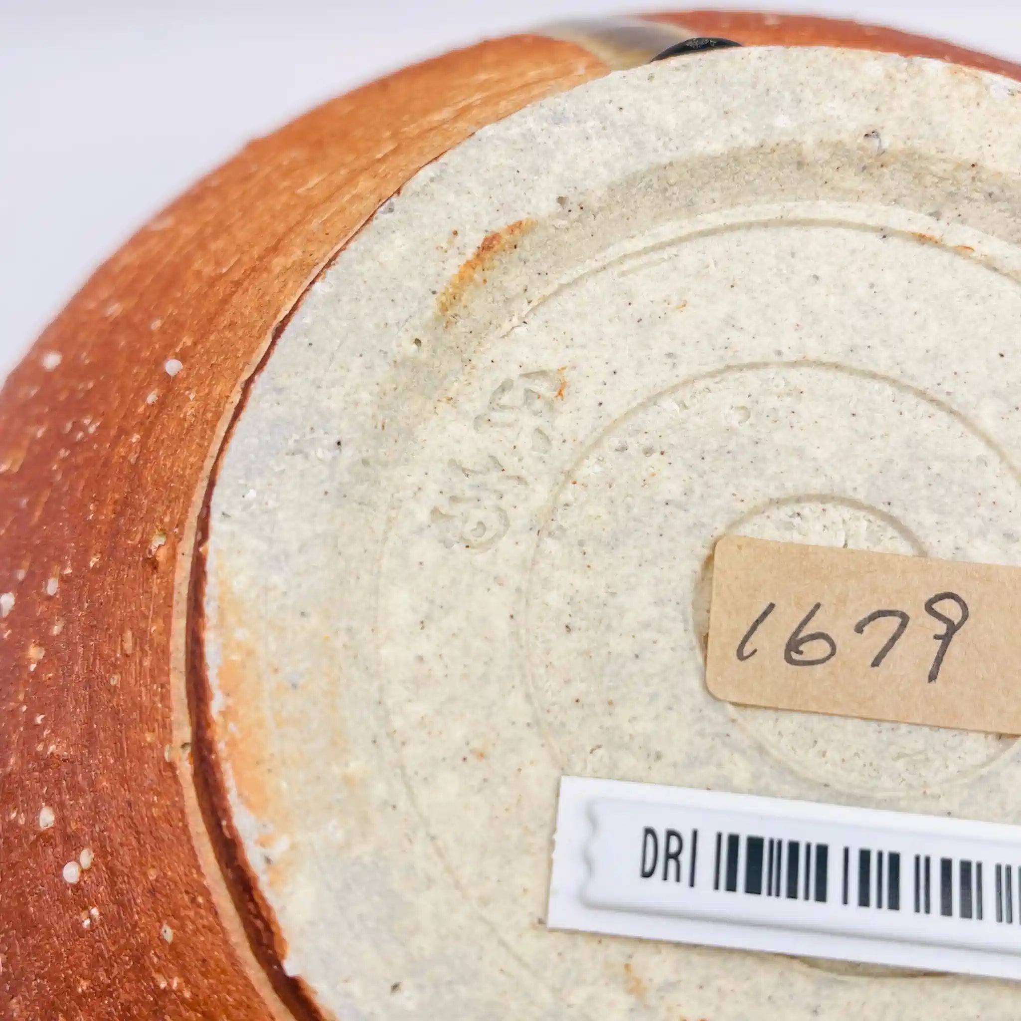 【骨董品】 耳付花壺 / 信楽焼 / 日本 / 未使用,箱あり