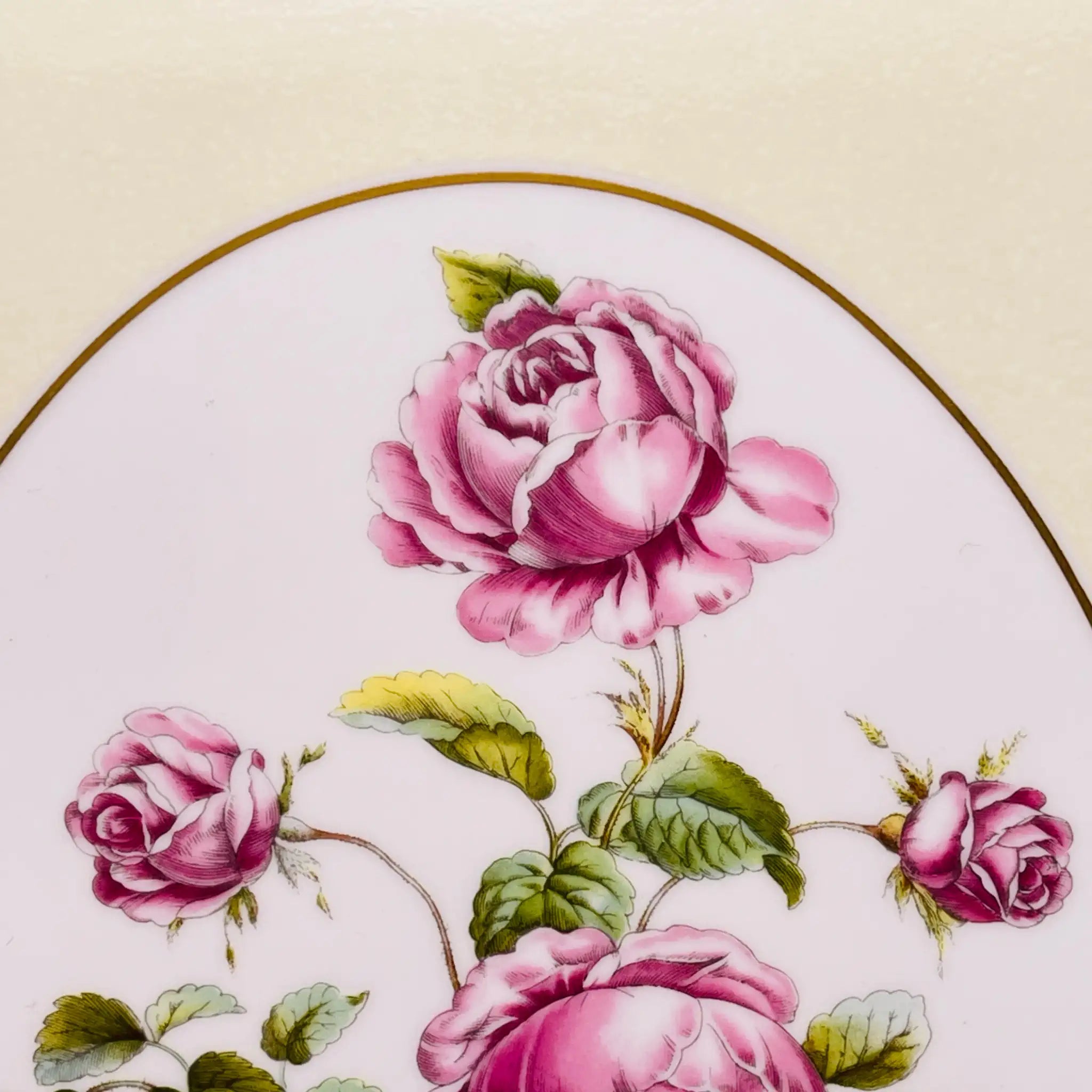 ロイヤルウースター　薔薇　金彩　プレート Royal
