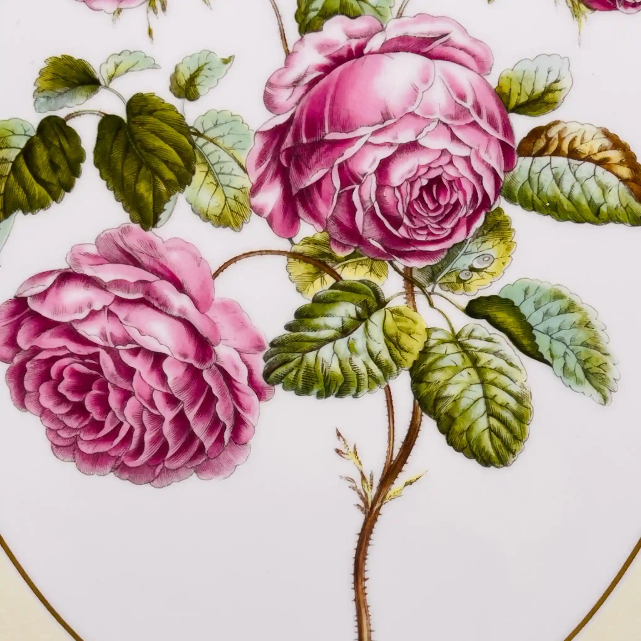 【リユース】 陶板 / Royal Worcester(ロイヤル ウースター) / プロビンス・ローズ / 箱あり 未使用 / 箱付き