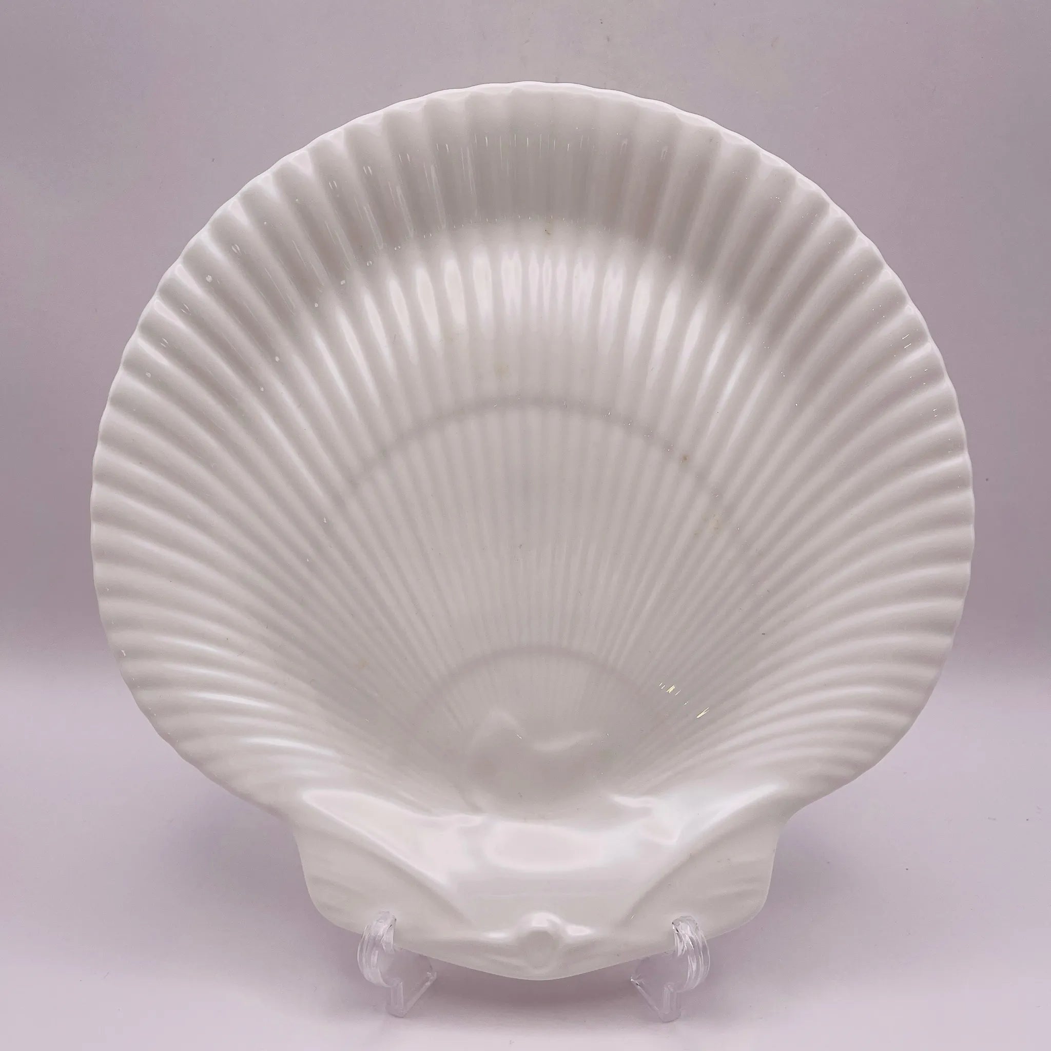 【リユース】 シェルプレート / WEDGEWOOD(ウェッジウッド) / 箱あり 未使用 / 箱付き