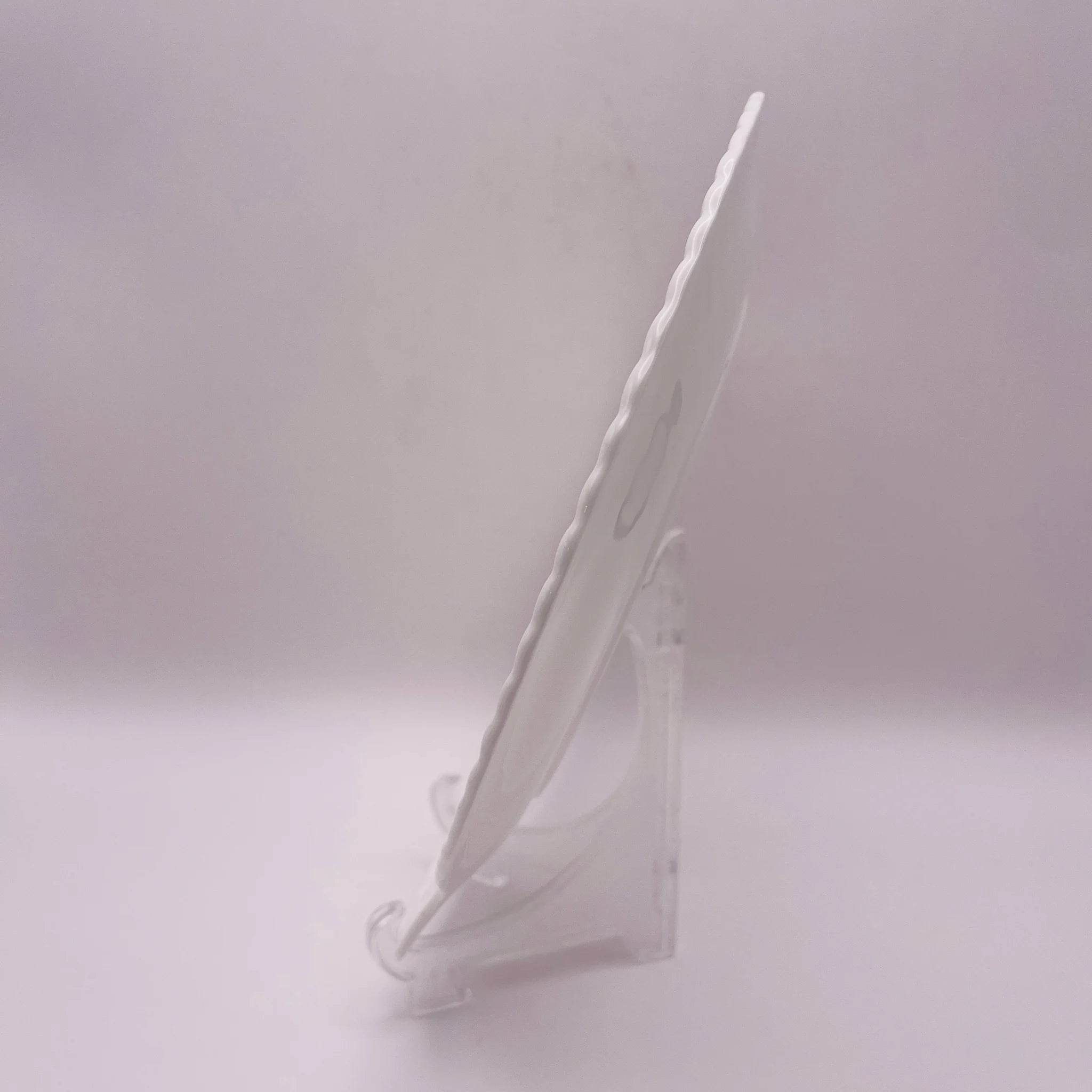 【リユース】 シェルプレート / WEDGEWOOD(ウェッジウッド) / 箱あり 未使用 / 箱付き