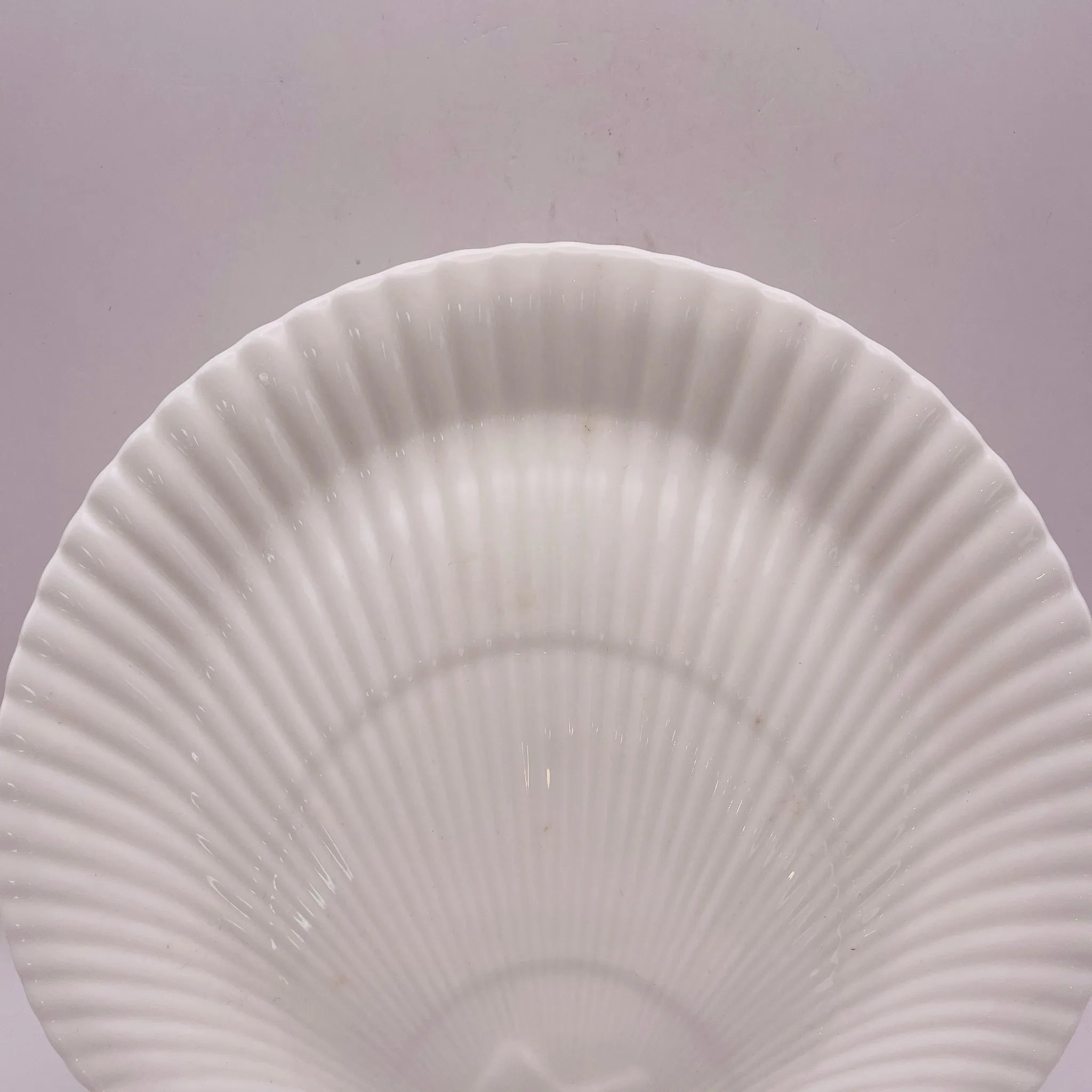 【リユース】 シェルプレート / WEDGEWOOD(ウェッジウッド) / 箱あり 未使用 / 箱付き