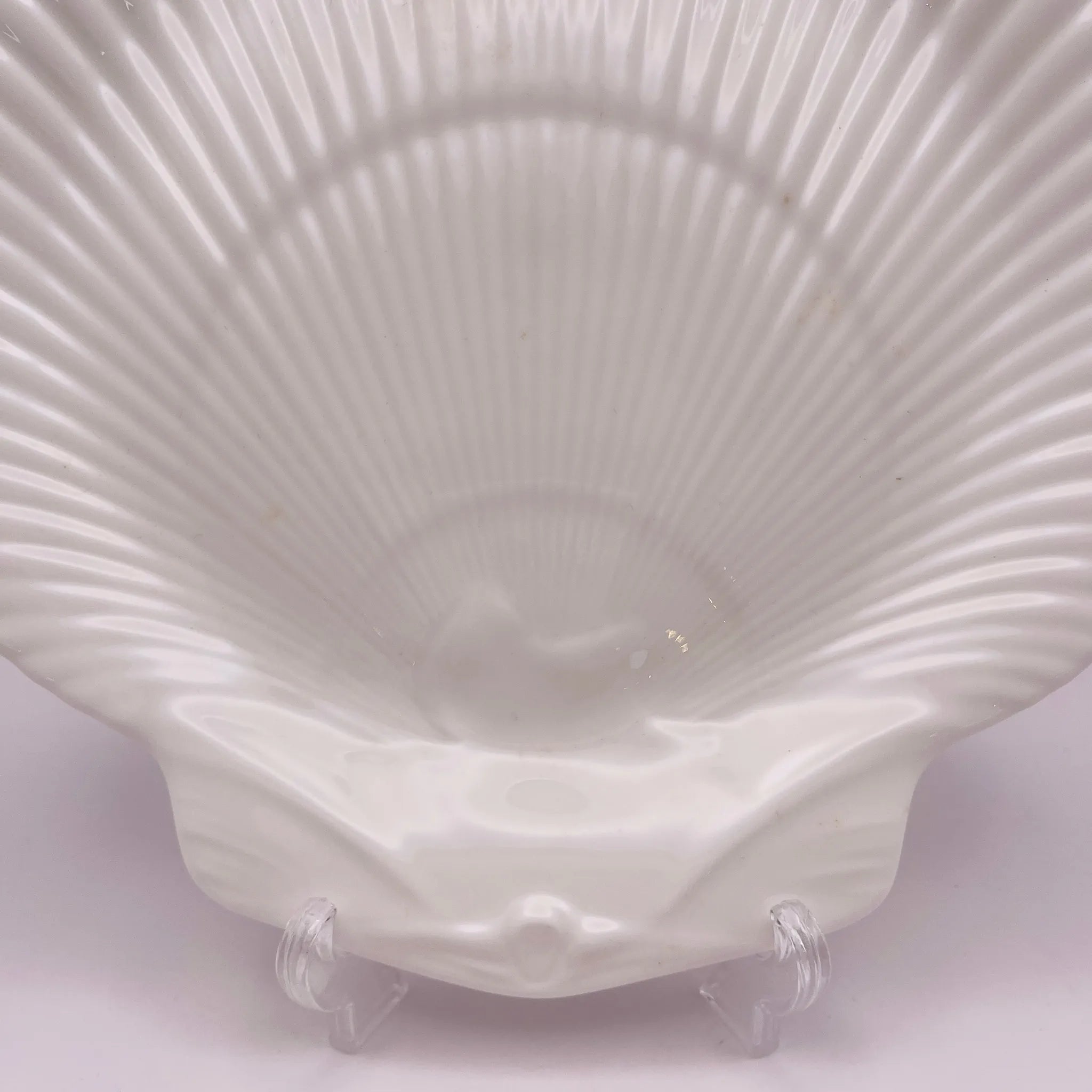 【リユース】 シェルプレート / WEDGEWOOD(ウェッジウッド) / 箱あり 未使用 / 箱付き