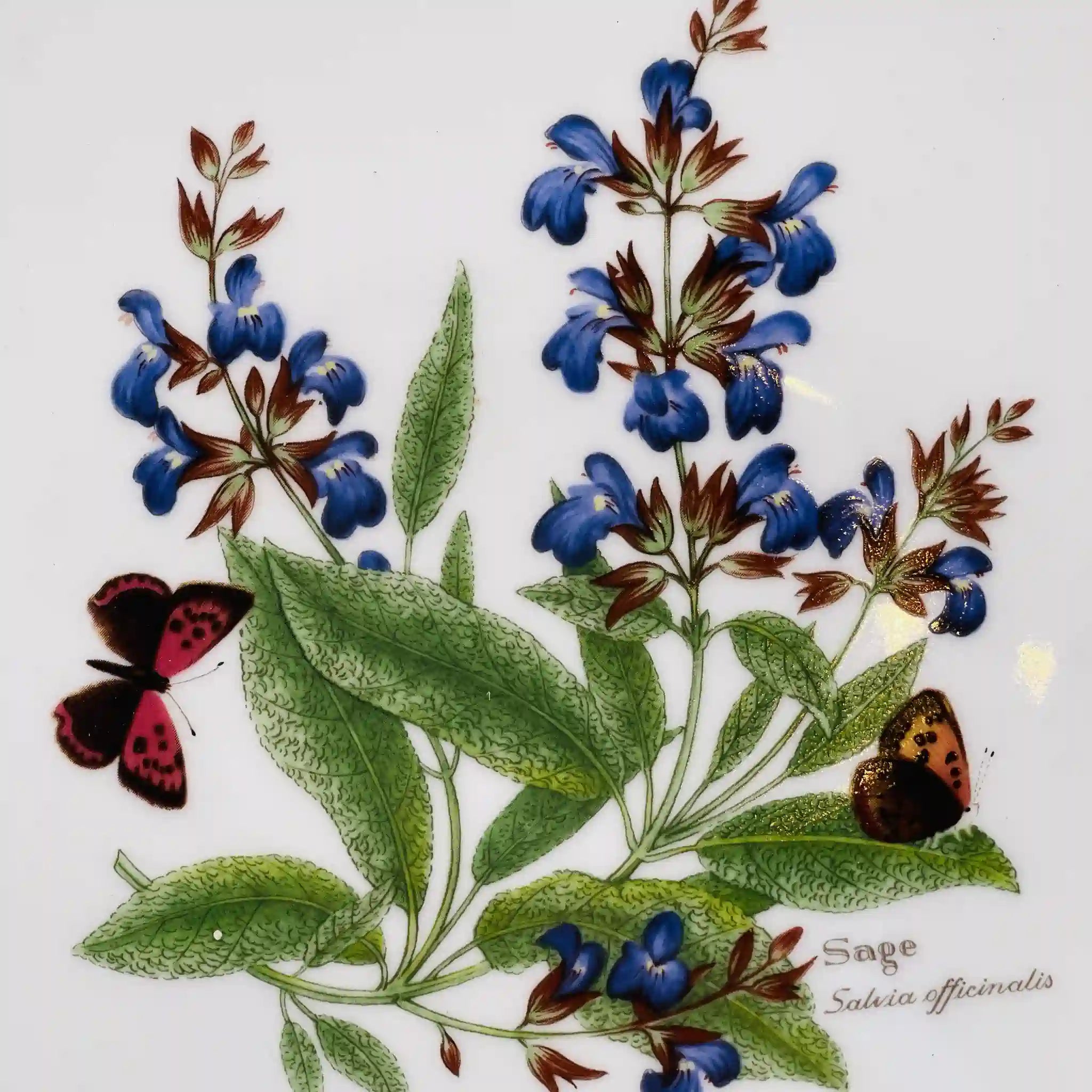 【リユース】 プレート(皿) / Royal Worcester(ロイヤル ウースター) / イギリス