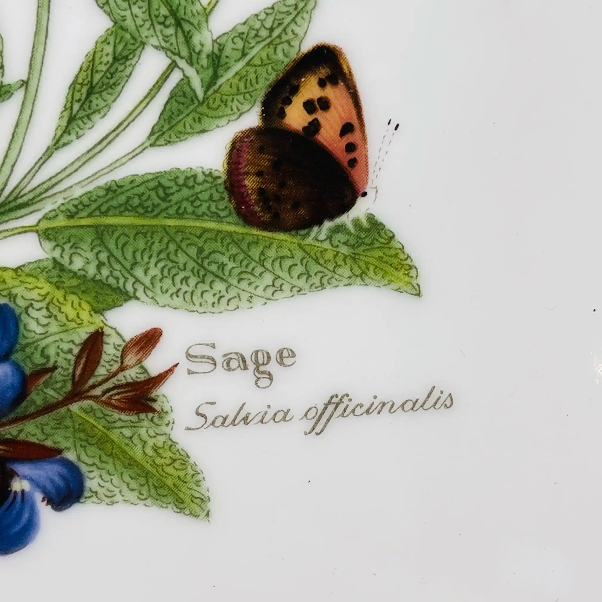 【リユース】 プレート(皿) / Royal Worcester(ロイヤル ウースター) / イギリス