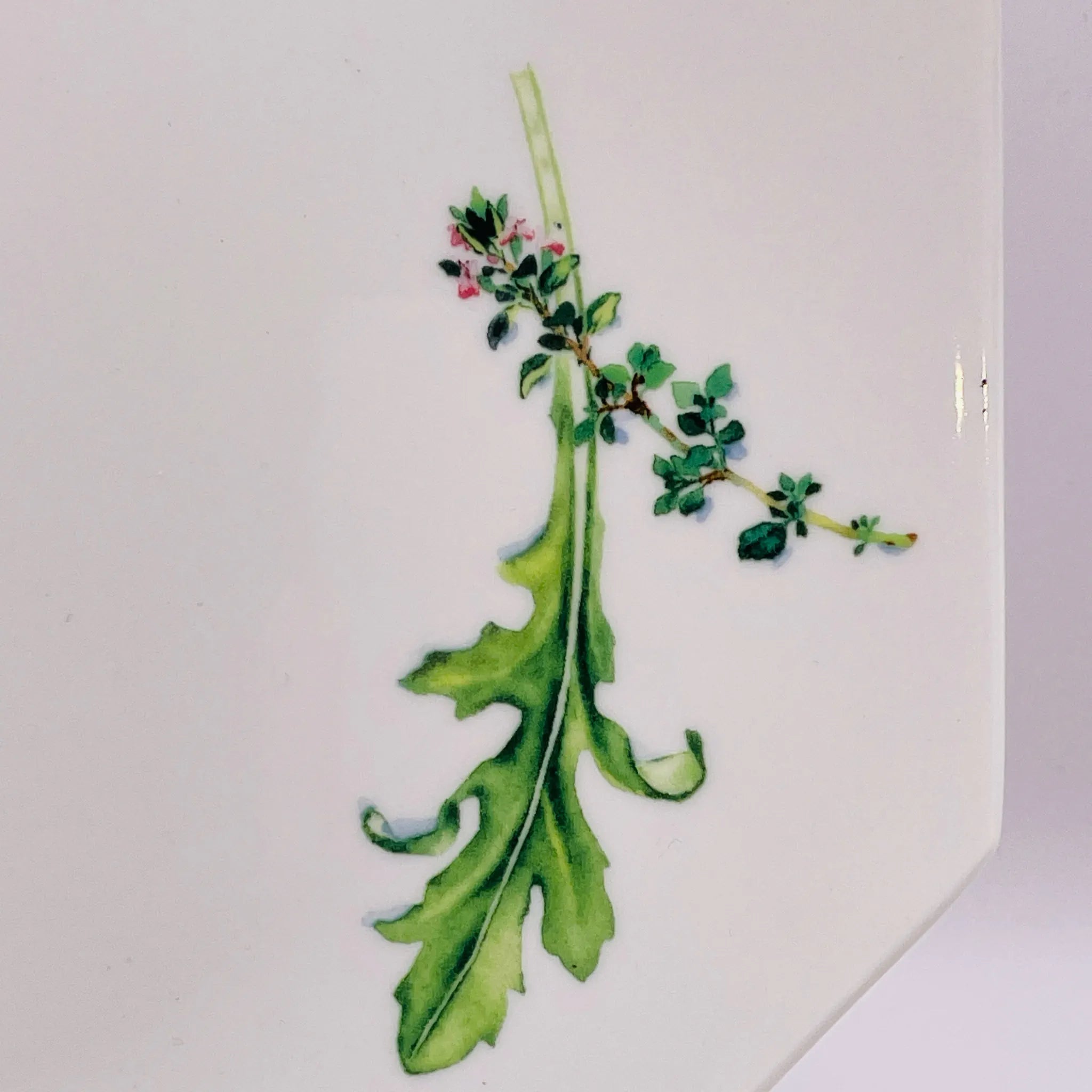 【リユース】 プレート(皿) / WEDGEWOOD(ウェッジウッド) / 未使用,箱あり