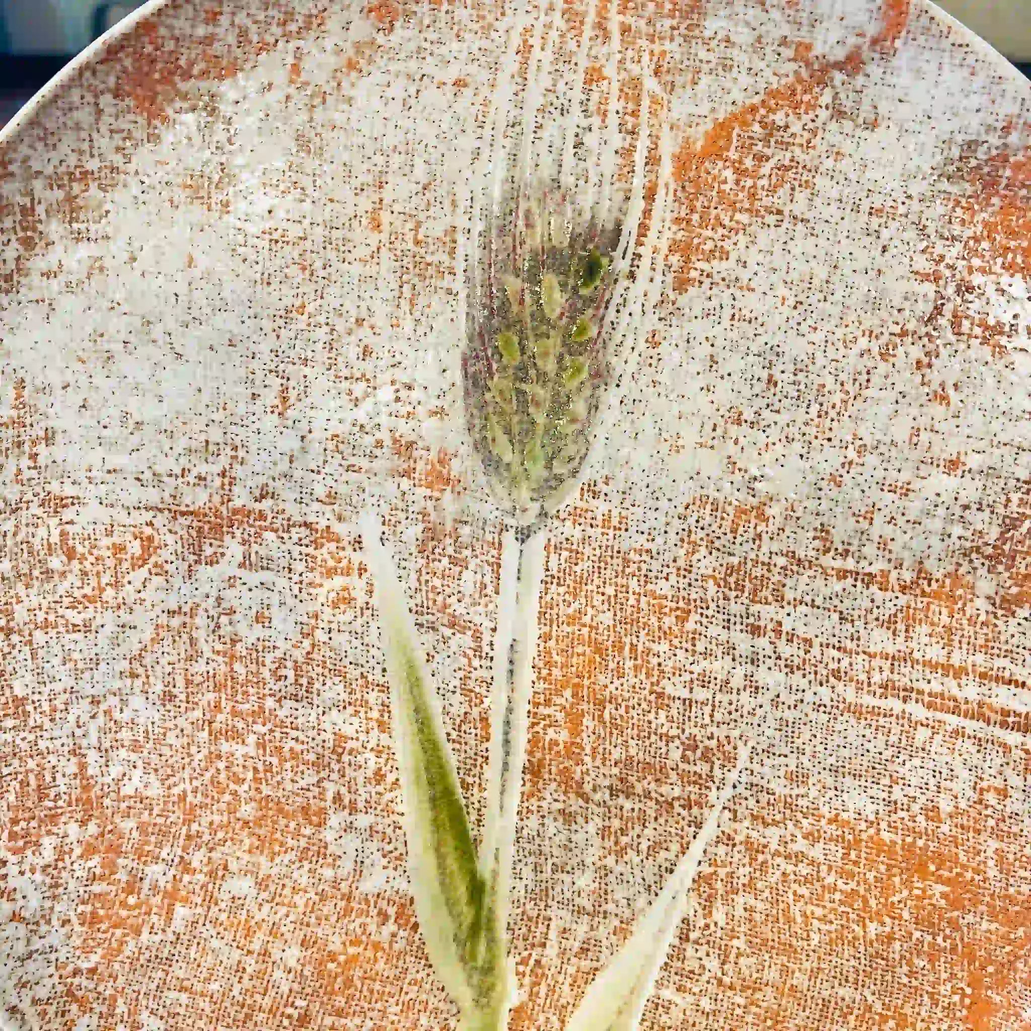 【骨董品】 丸皿 / 鈴木青々 / 瀬戸焼 / 布目麦文皿