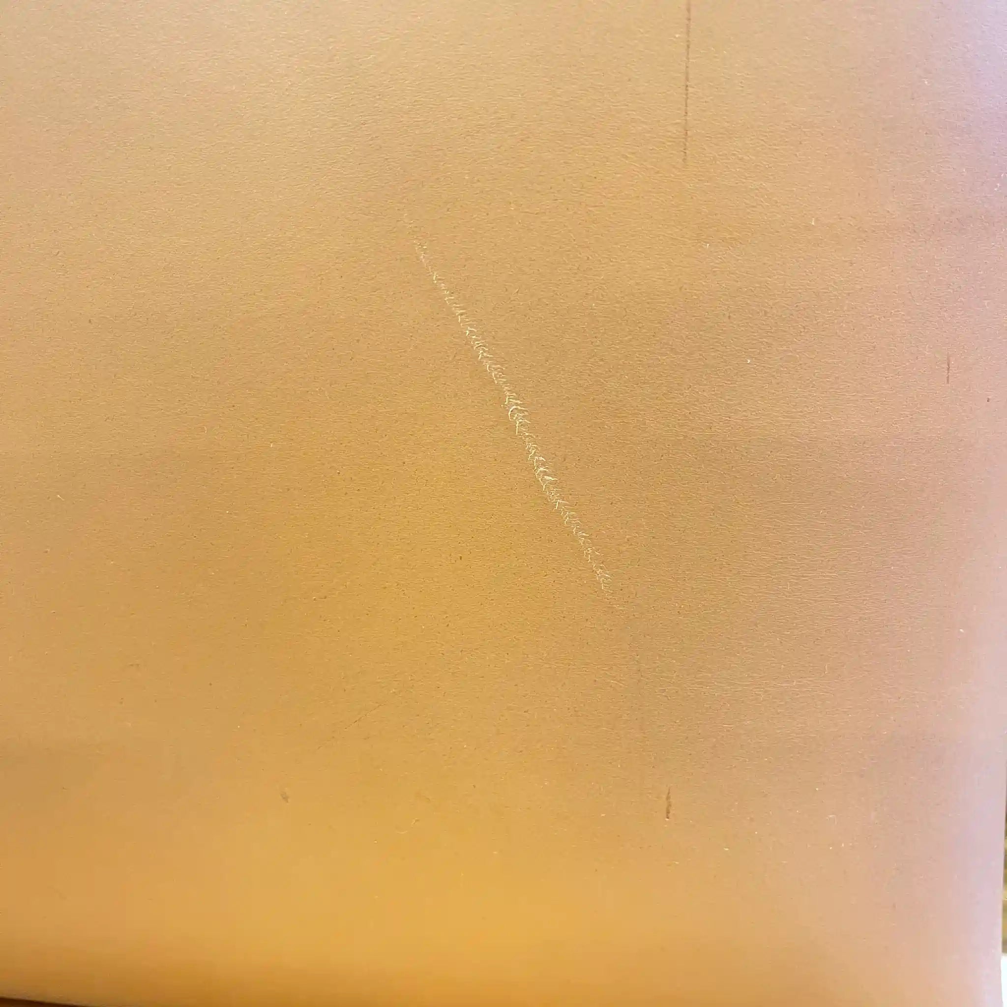 【アンティーク】 ダイニングチェア / 本革 / イギリス直輸入