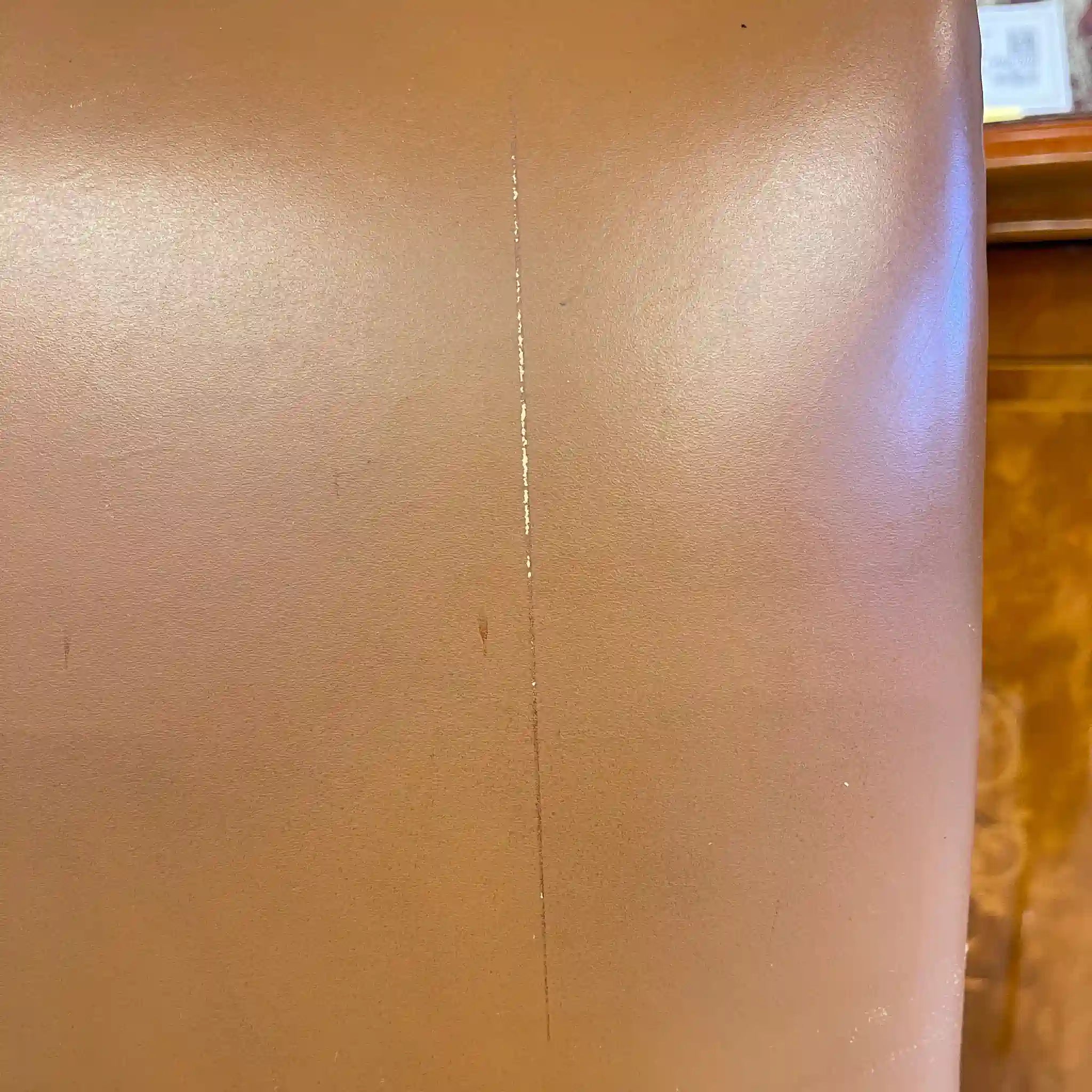 【アンティーク】 ダイニングチェア / 本革 / イギリス直輸入