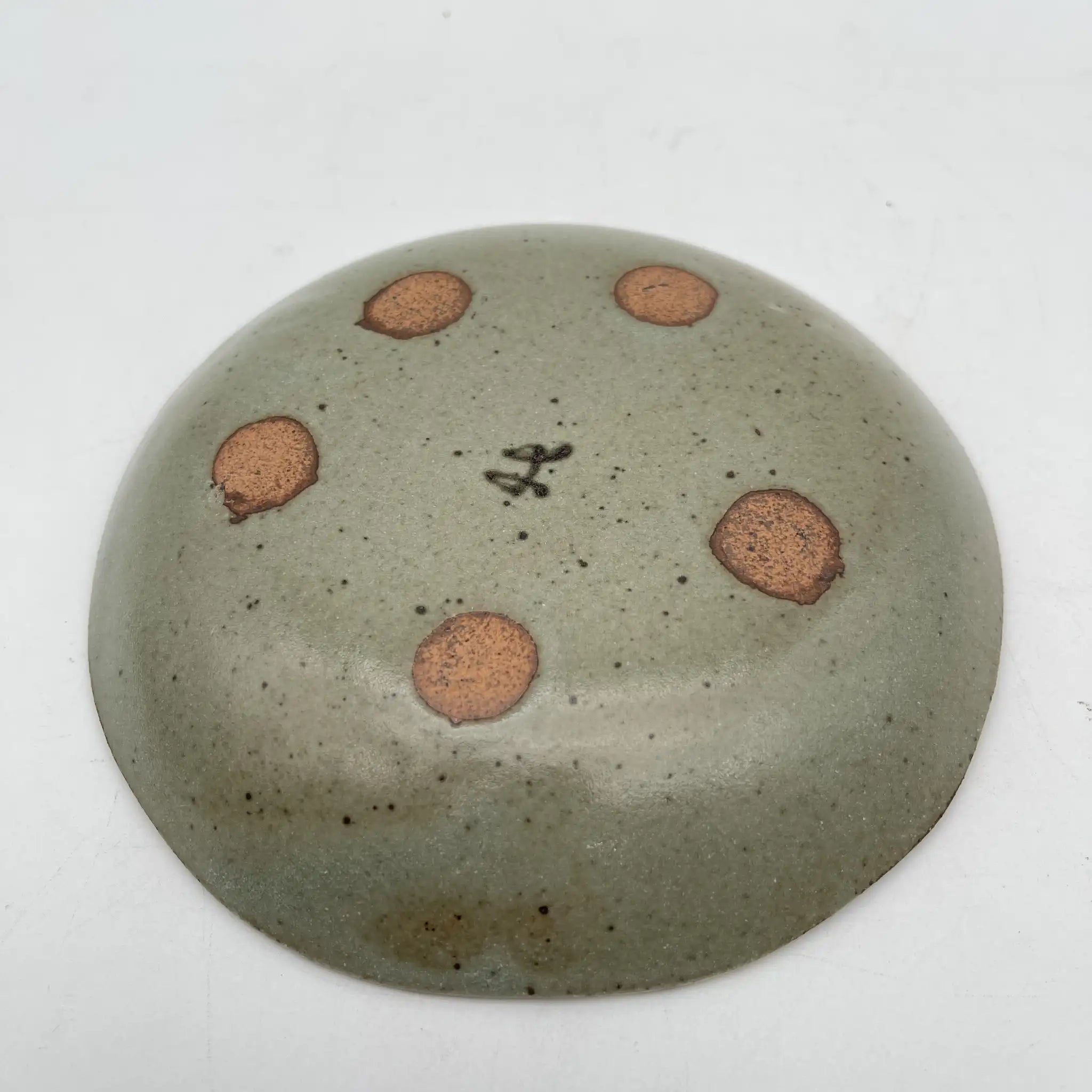 【再利用】彩绘铭各皿5p /幸兵卫窑/美浓烧/陶器/日本/桔梗，菖蒲，松，竹，梅，箱付