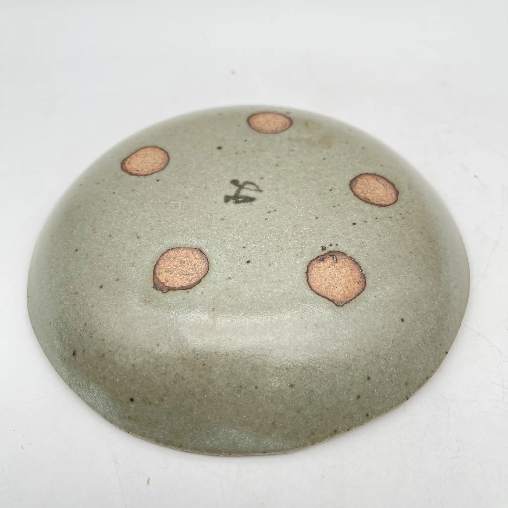 【再利用】彩绘铭各皿5p /幸兵卫窑/美浓烧/陶器/日本/桔梗，菖蒲，松，竹，梅，箱付