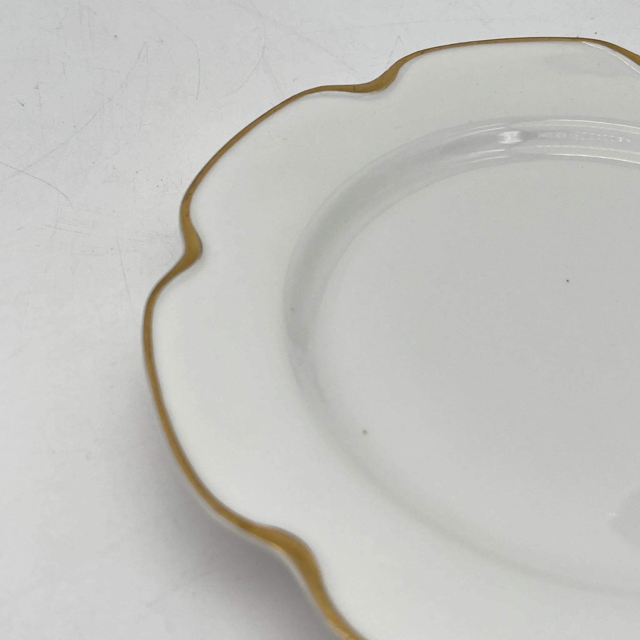 Haviland / ディナープレート+デザートプレート / リモージュ磁器 / 20C前期 / 磁器 / フランス / 金彩 / [アンティーク]