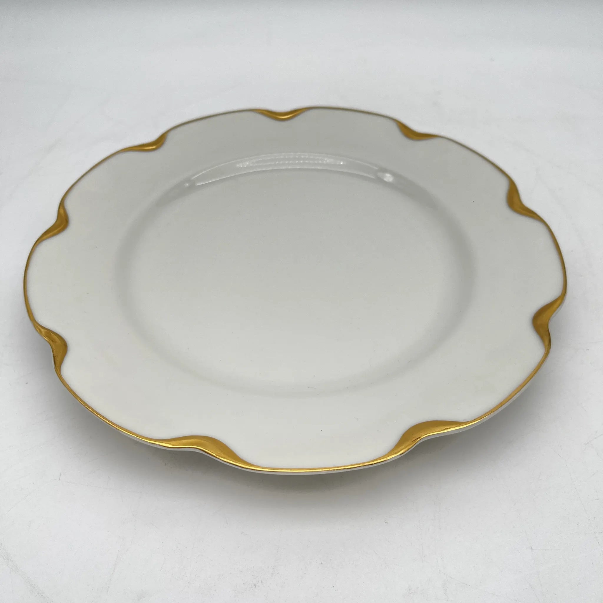 Haviland / ディナープレート+デザートプレート / リモージュ磁器 / 20C前期 / 磁器 / フランス / 金彩 / [アンティーク]