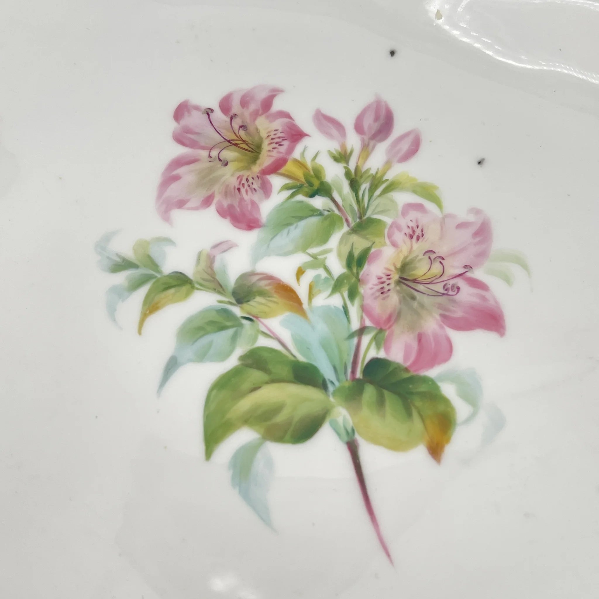 Davenport(ダベンポート) / コンポート皿 / 19C中後期 / 磁器 / イギリス / ボタニカルアート, スカラップエッジ, 金彩 / [アンティーク]