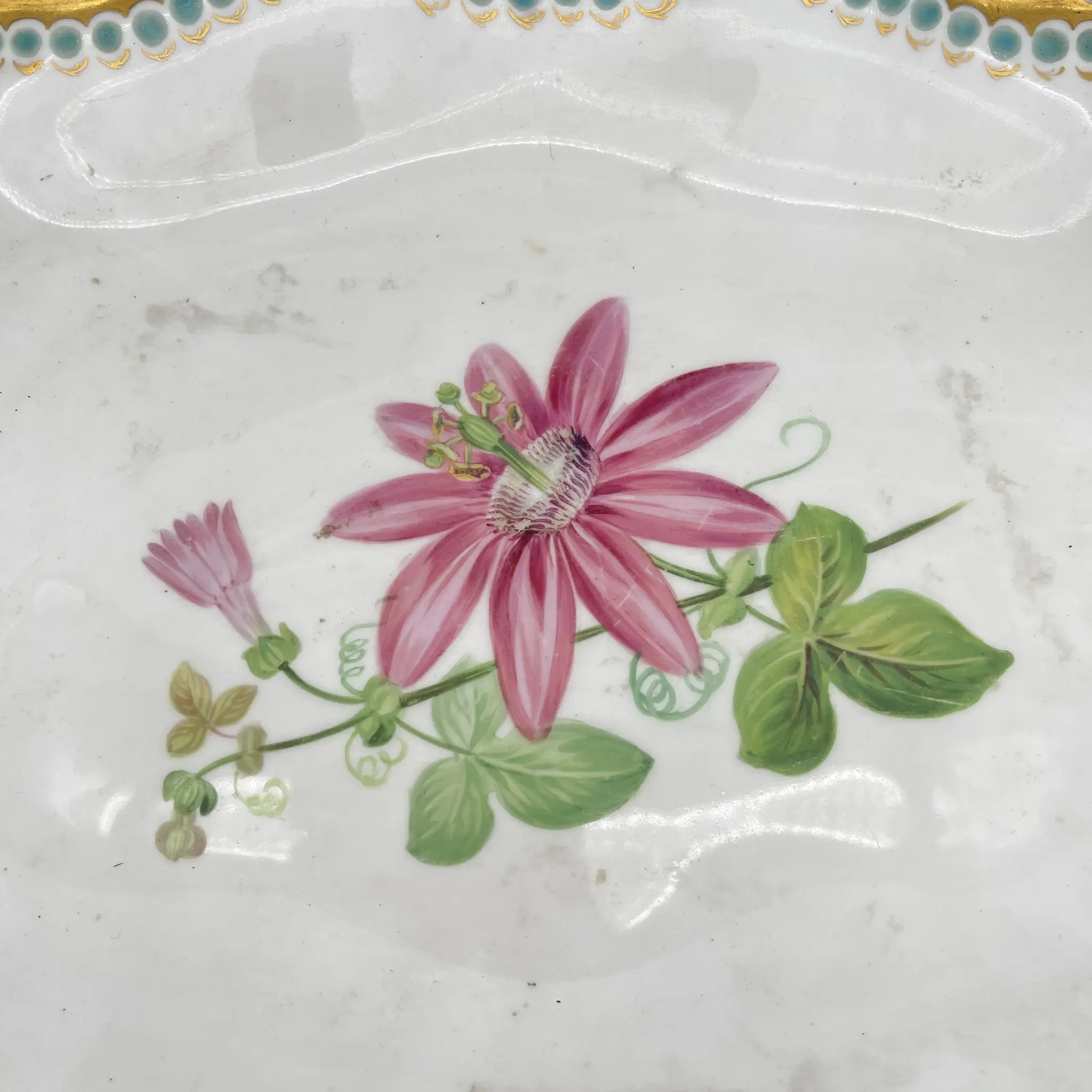 Davenport(ダベンポート) / コンポート皿 / 19C中後期 / 磁器 / イギリス / ボタニカルアート, スカラップエッジ, 金彩 / [アンティーク]
