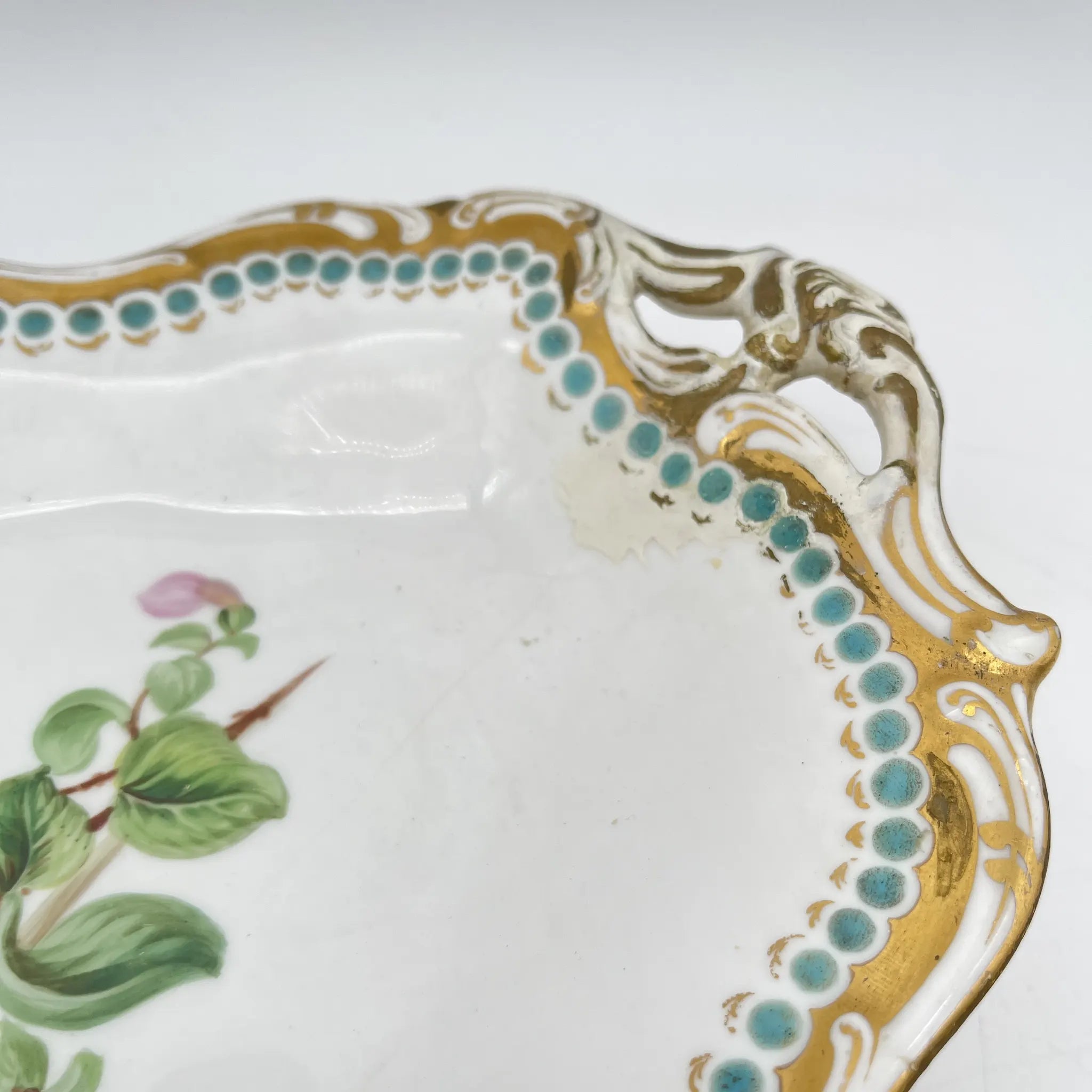Davenport(ダベンポート) / コンポート皿 / 19C中後期 / 磁器 / イギリス / ボタニカルアート, スカラップエッジ, 金彩 / [アンティーク]