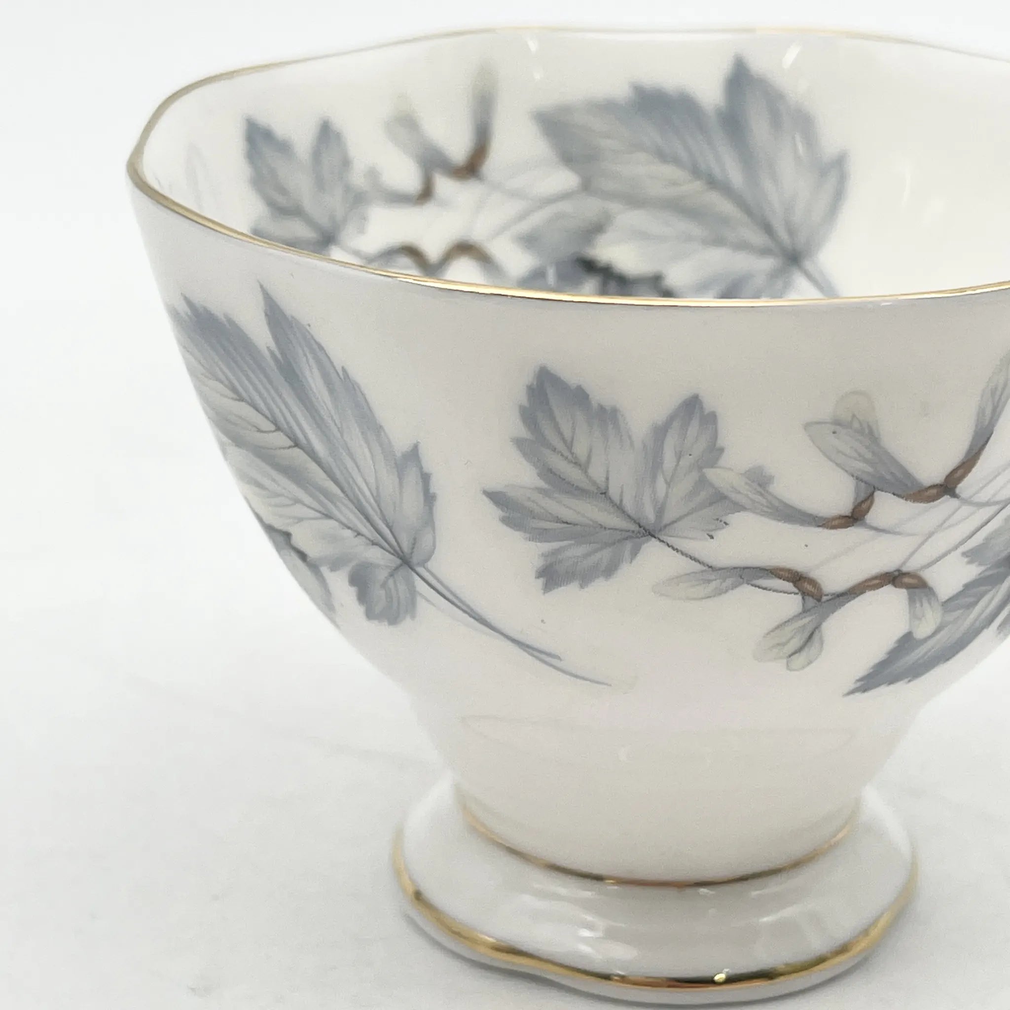 Royal Albert /杯&碟2p / Silver Maple / 1950s- / Bone China /英国/ 骨中国，叶柄，植物学，金轮辋，金彩装饰，英国葡萄酒，陶瓷，单色调，经典，西式餐具/[葡萄酒]