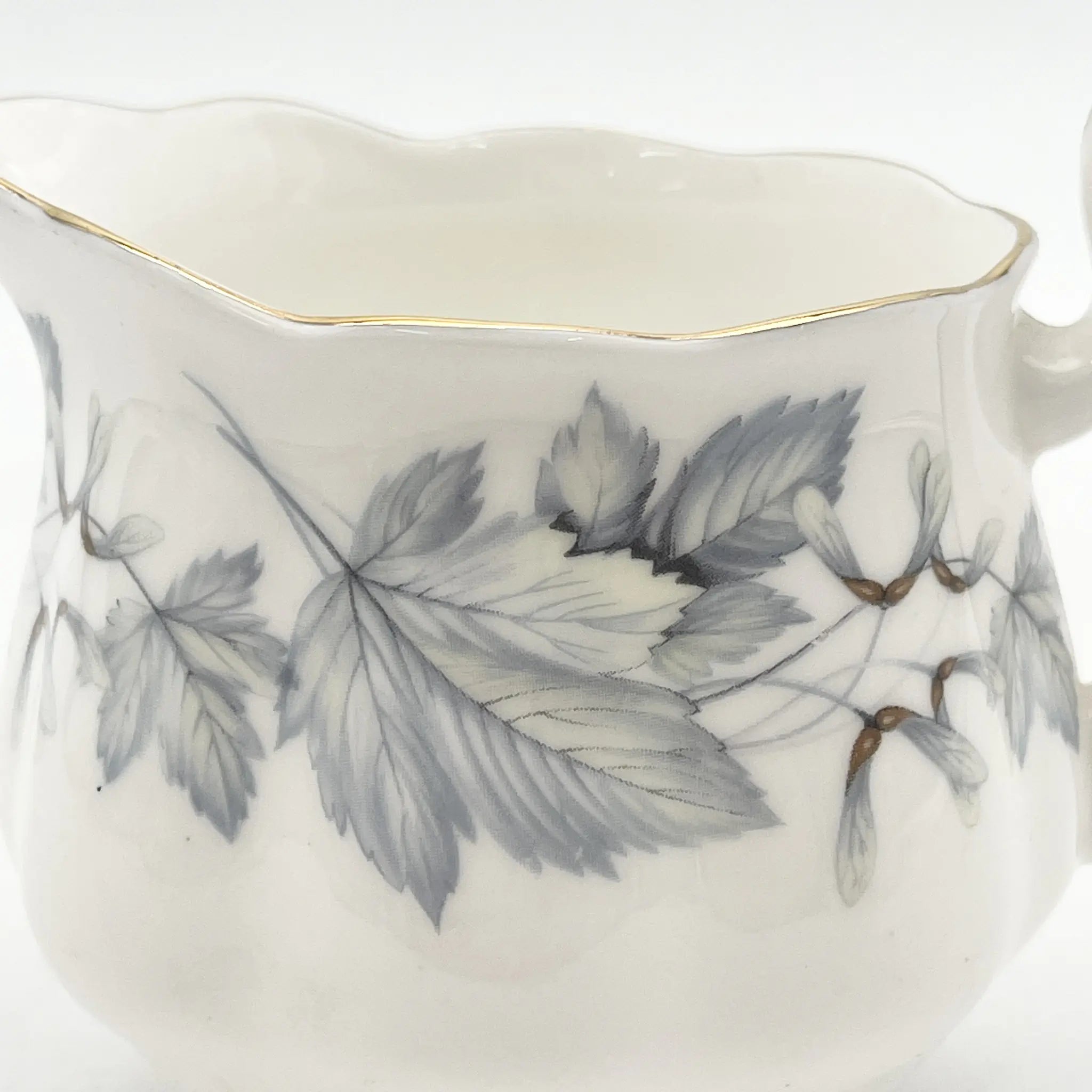 皇家阿尔伯特/克里默/ Silver Maple / 1950s- / Fine Bone China /英国/ 骨中国，叶柄，植物学，金轮辋，金彩装饰，英国葡萄酒，陶瓷，单色调，经典，西式餐具/[葡萄酒]