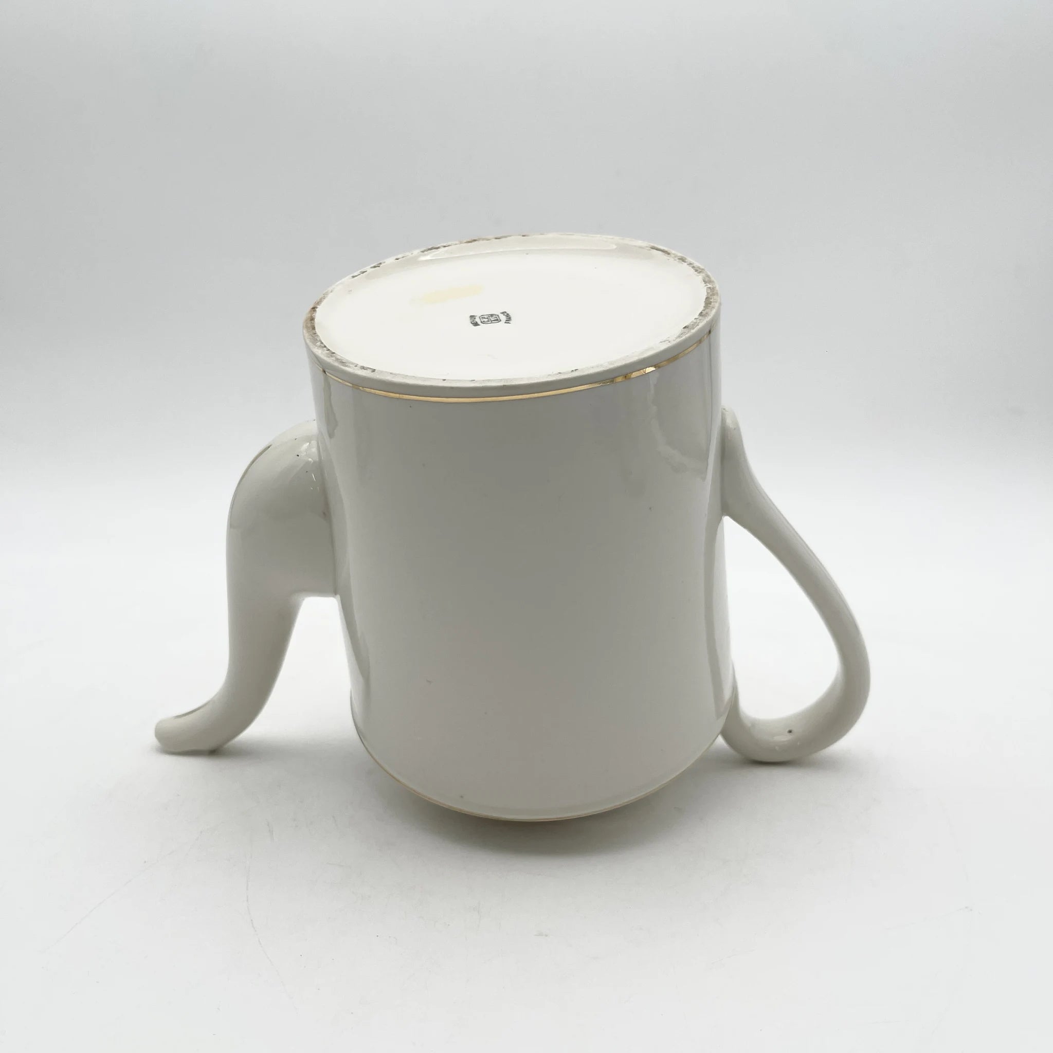 Charles Pillivuyt & Co. / ティーポット / Mehun / 20C初頭 / 磁器 / フランス / 実用美, 金彩 / [アンティーク]