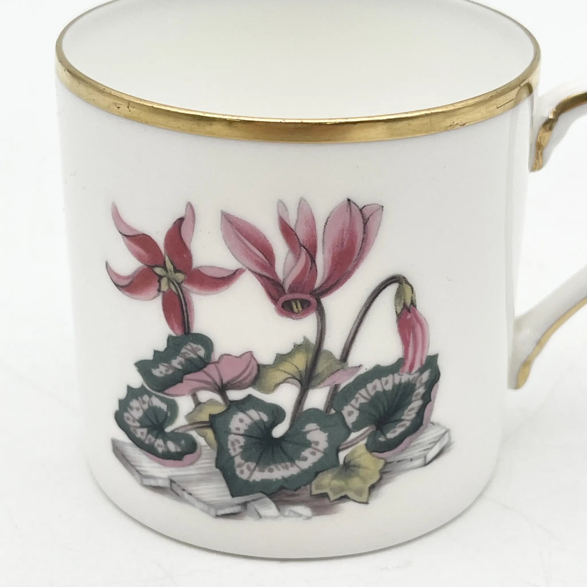 Royal Worcester(ロイヤル・ウースター) / カップ&ソーサー2P / 20C中後期 / Fine Bone China / イギリス / アルパイン・フラワー, 金彩 / [アンティーク]