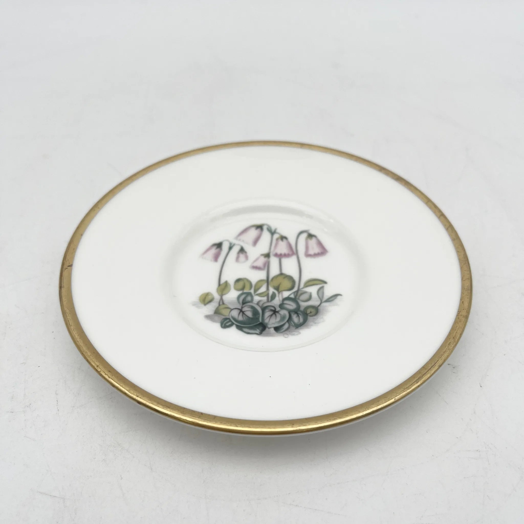 Royal Worcester(ロイヤル・ウースター) / カップ&ソーサー2P / 20C中後期 / Fine Bone China / イギリス / アルパイン・フラワー, 金彩 / [アンティーク]