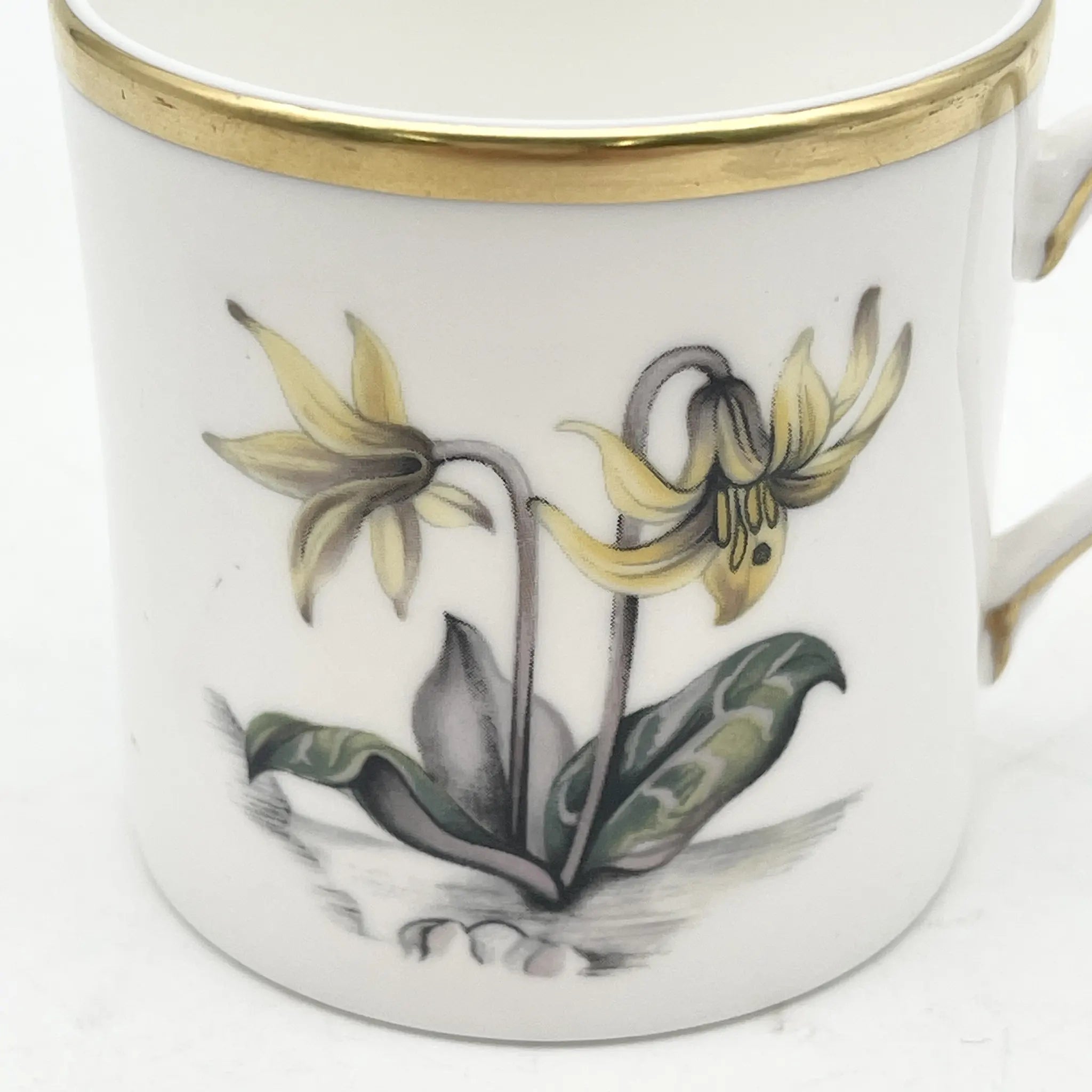 Royal Worcester(ロイヤル・ウースター) / カップ&ソーサー2P / 20C中後期 / Fine Bone China / イギリス / アルパイン・フラワー, 金彩 / [アンティーク]
