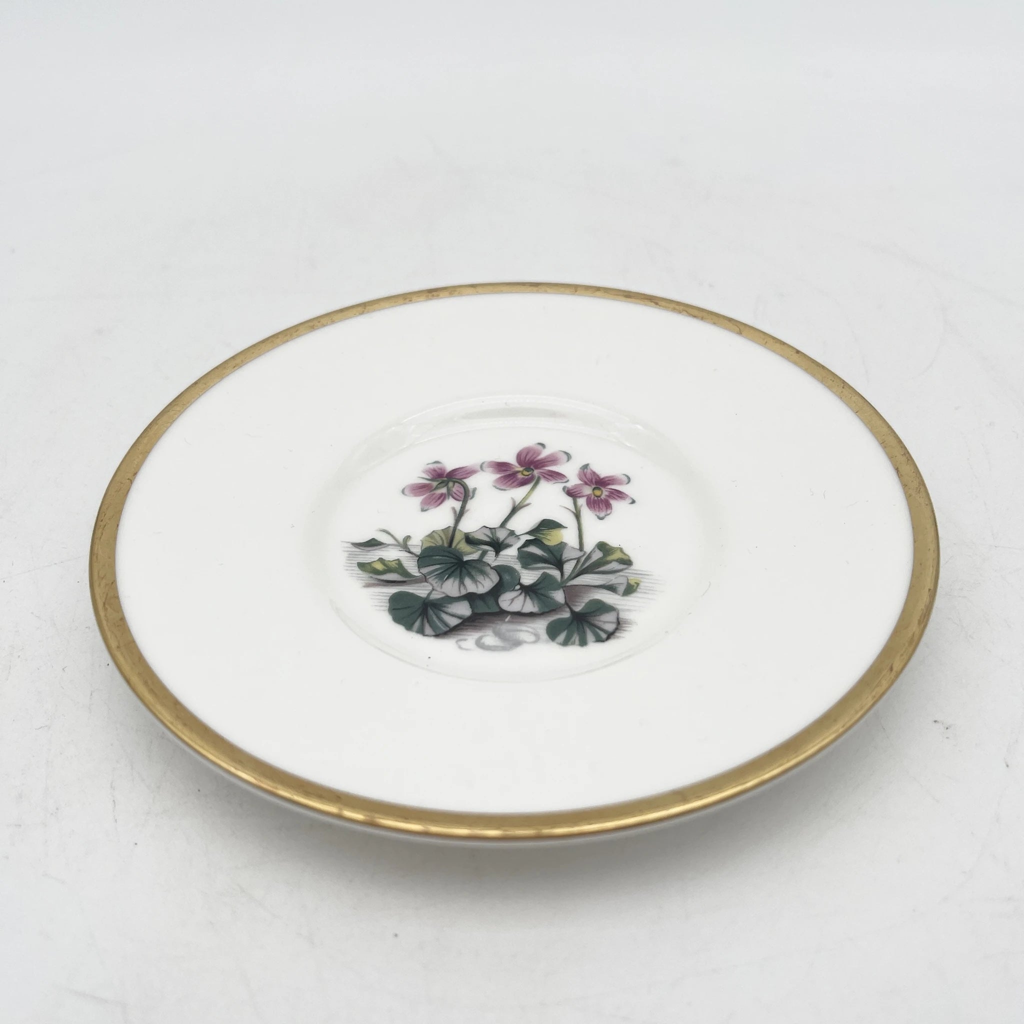 Royal Worcester(ロイヤル・ウースター) / カップ&ソーサー / 20C中後期 / Fine Bone China / イギリス / アルパイン・フラワー, 金彩 / [アンティーク]