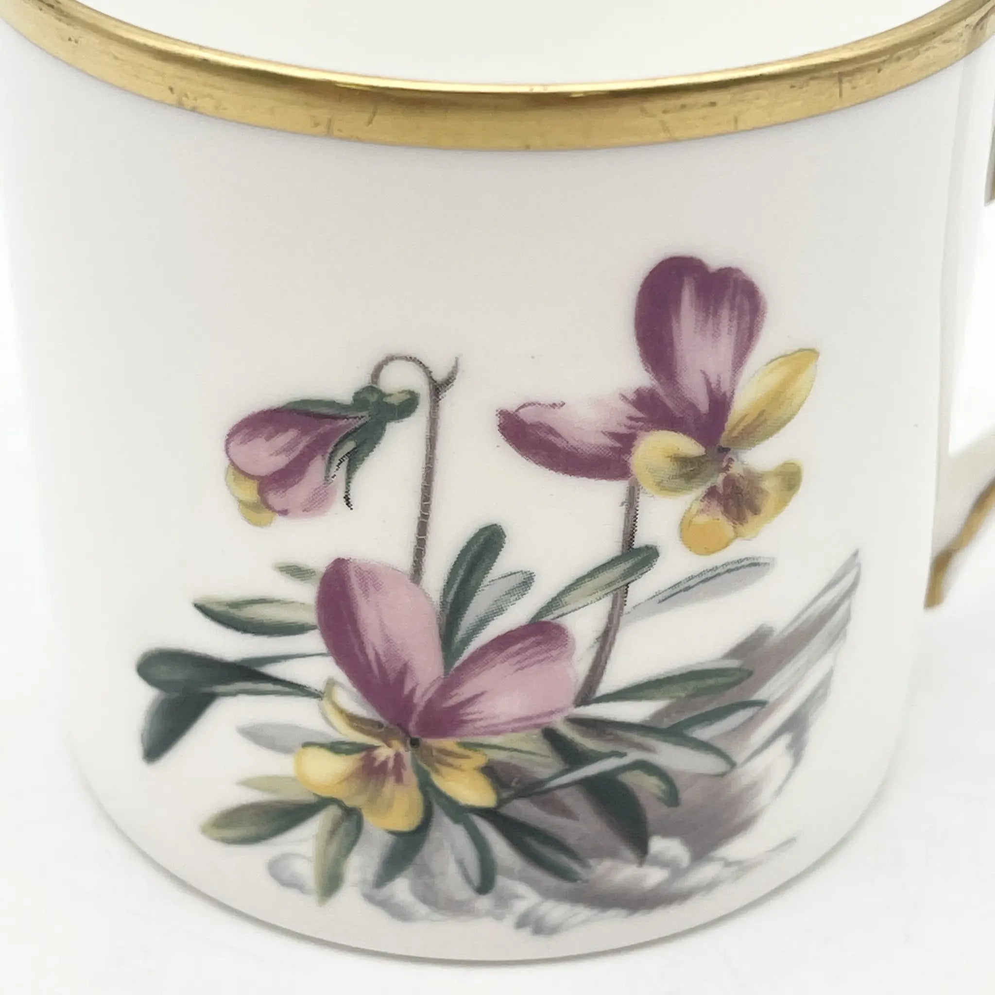 Royal Worcester(ロイヤル・ウースター) / カップ&ソーサー / 20C中後期 / Fine Bone China / イギリス / アルパイン・フラワー, 金彩 / [アンティーク]