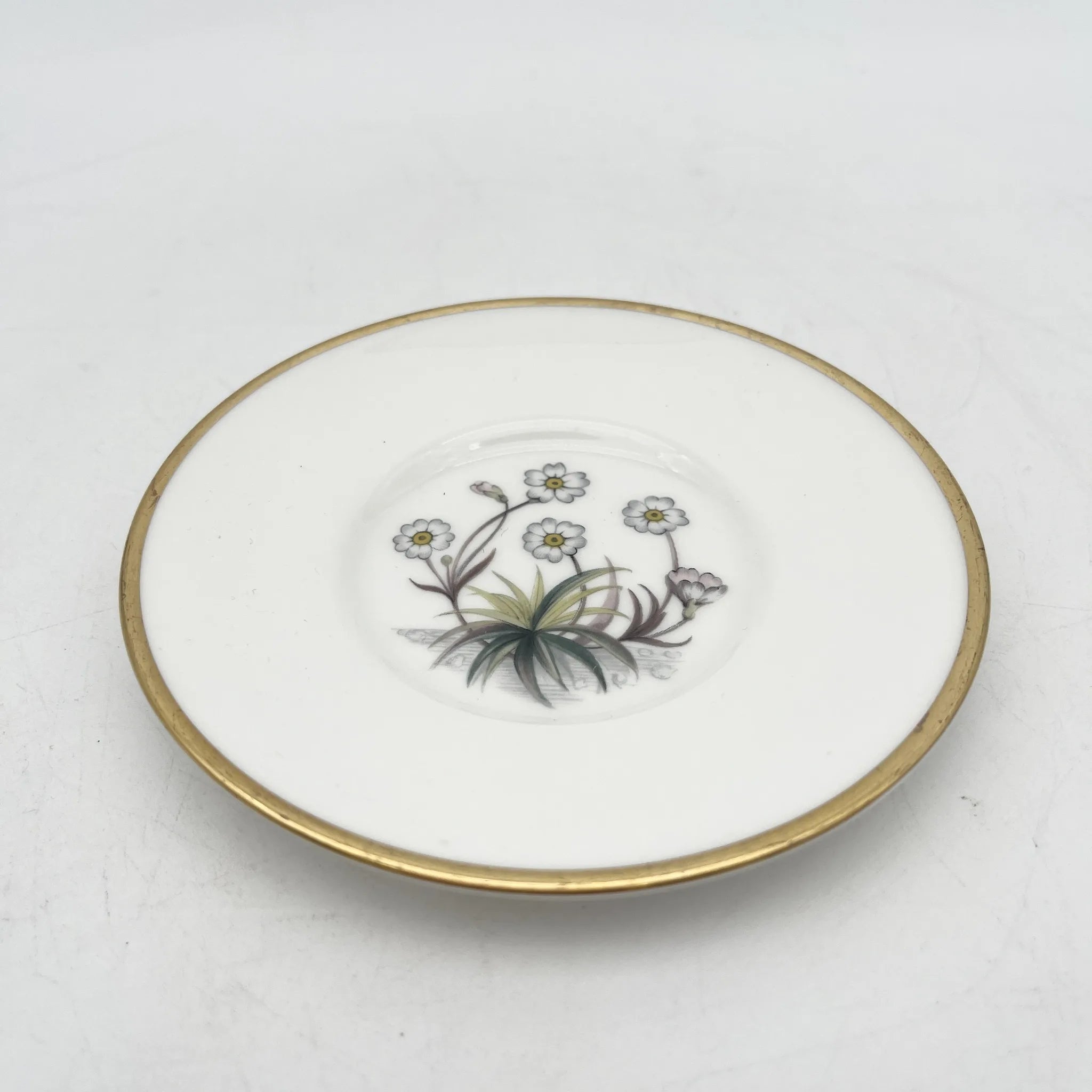 Royal Worcester(ロイヤル・ウースター) / カップ&ソーサー / 20C中後期 / Fine Bone China / イギリス / アルパイン・フラワー, 金彩 / [アンティーク]