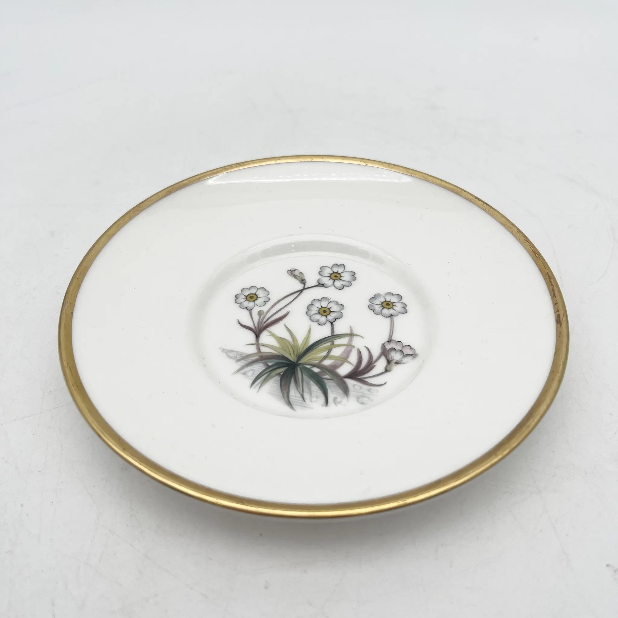 ⁄ ロイヤルウースター（Royal Worcester） ロイヤルウースター Royal