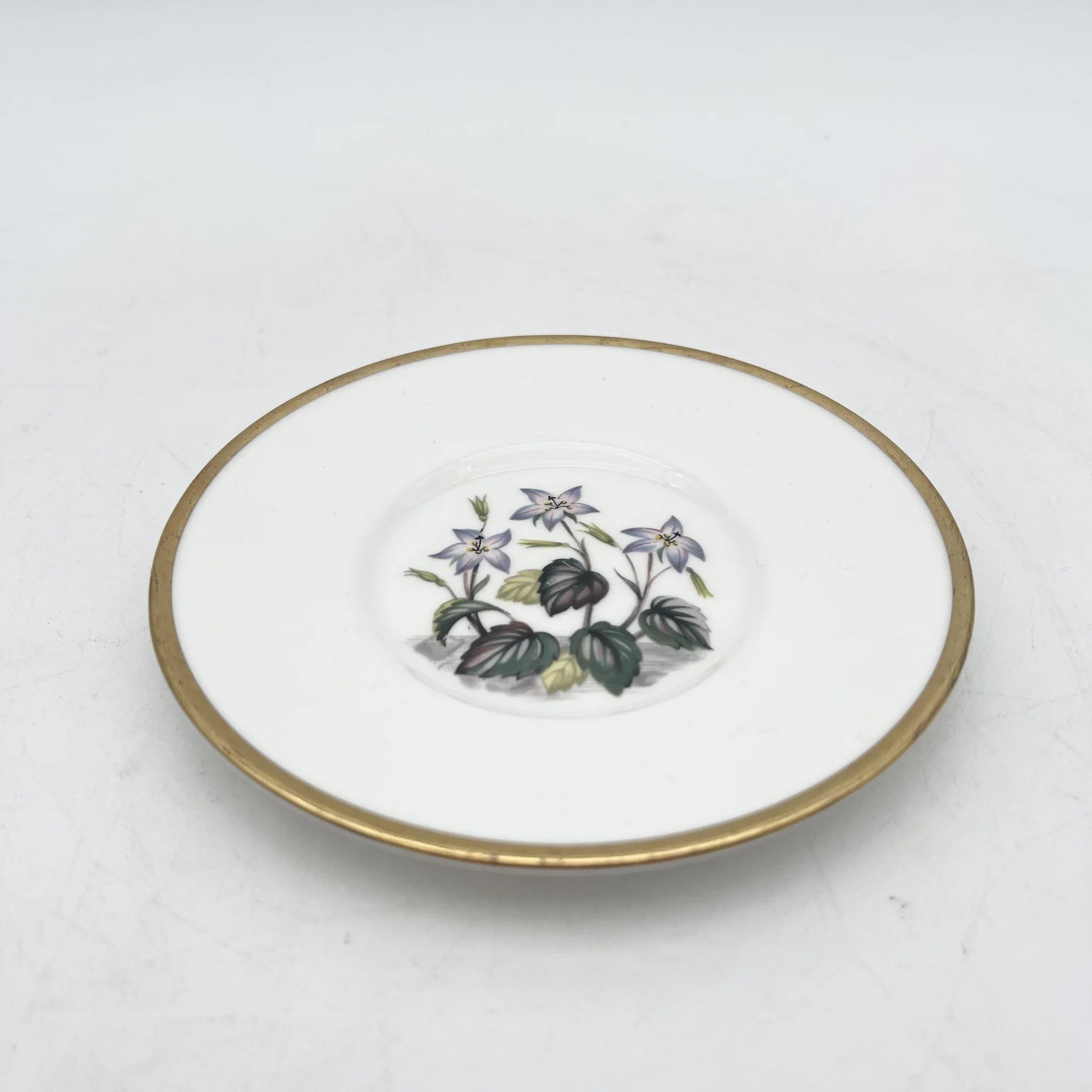 Royal Worcester(ロイヤル・ウースター) / カップ&ソーサー / 20C中後期 / Fine Bone China / イギリス / アルパイン・フラワー, 金彩 / [アンティーク]