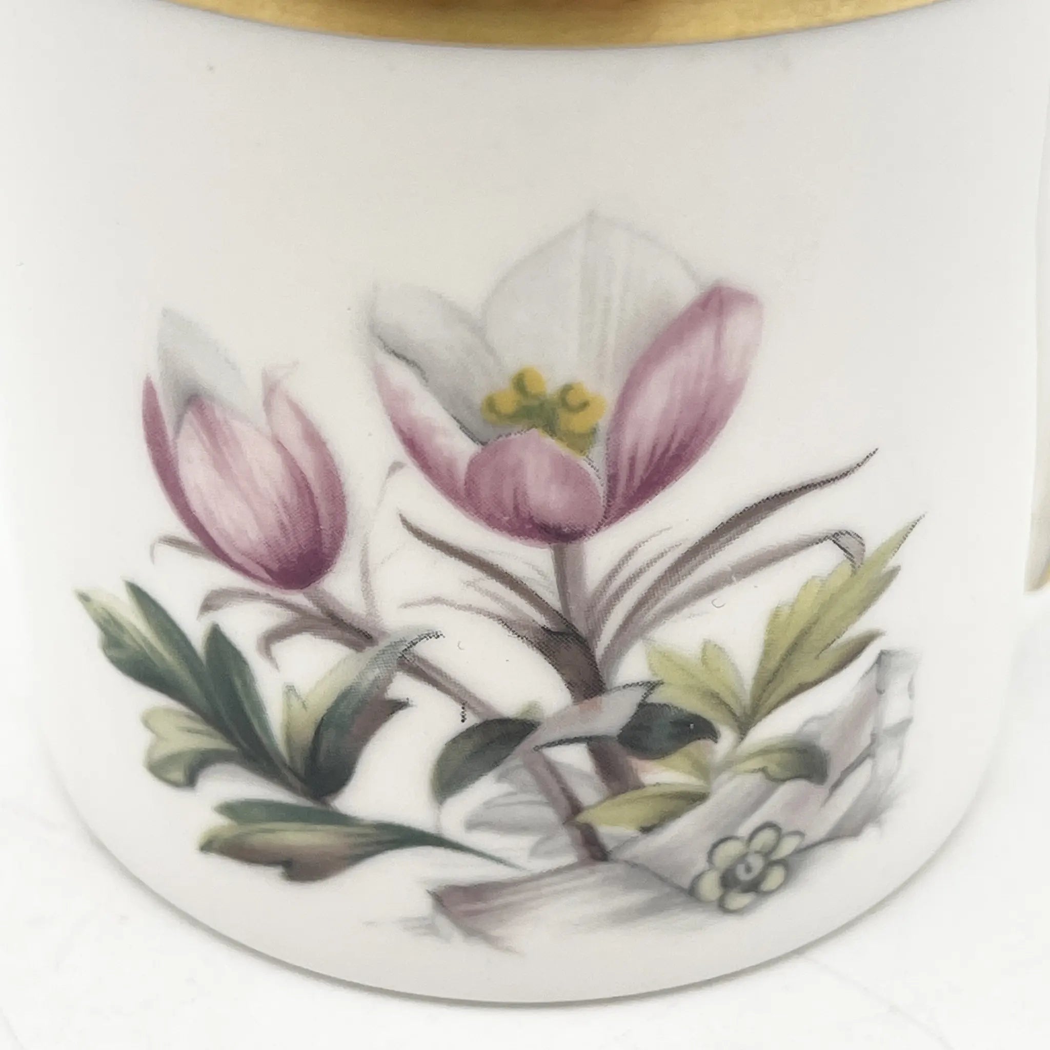 Royal Worcester(ロイヤル・ウースター) / カップ&ソーサー / 20C中後期 / Fine Bone China / イギリス / アルパイン・フラワー, 金彩 / [アンティーク]