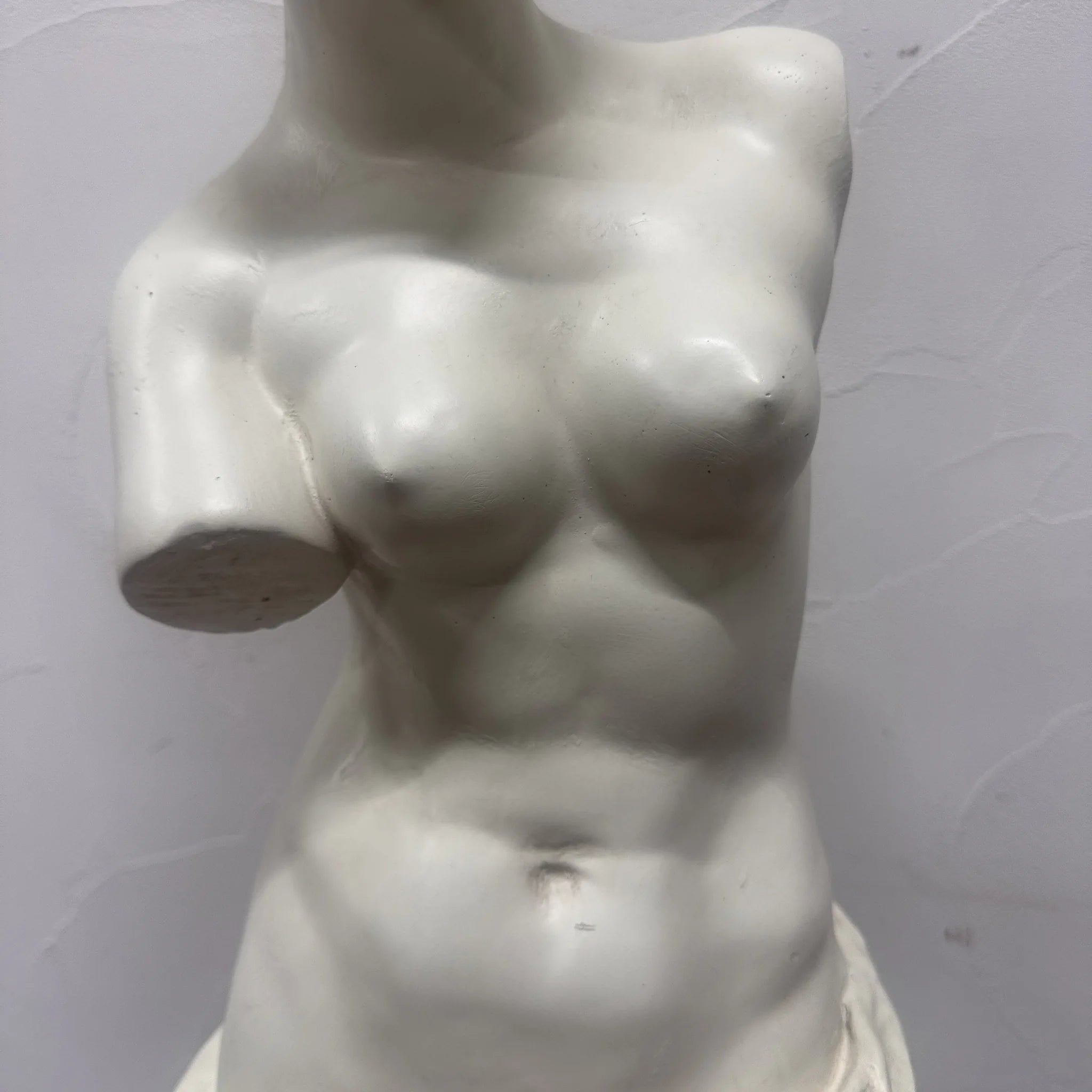 Plaster statue (object) / Venus de Milo / contrapposto, Hellenistic style.Interior goods, display / [Vintage]