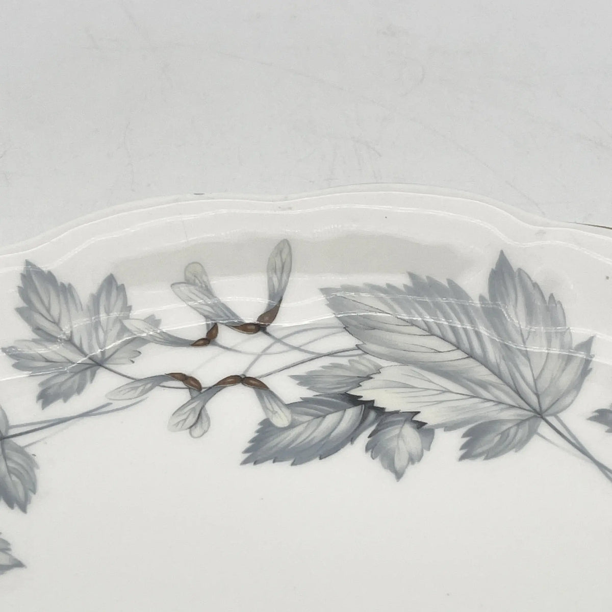 Royal Albert /主餐盘/ Silver Maple / 1950s- / Fine Bone China /英国/ 骨中国，叶柄，植物学，金轮辋，金彩装饰，英国葡萄酒，陶瓷，单色调，经典，西式餐具/[葡萄酒]