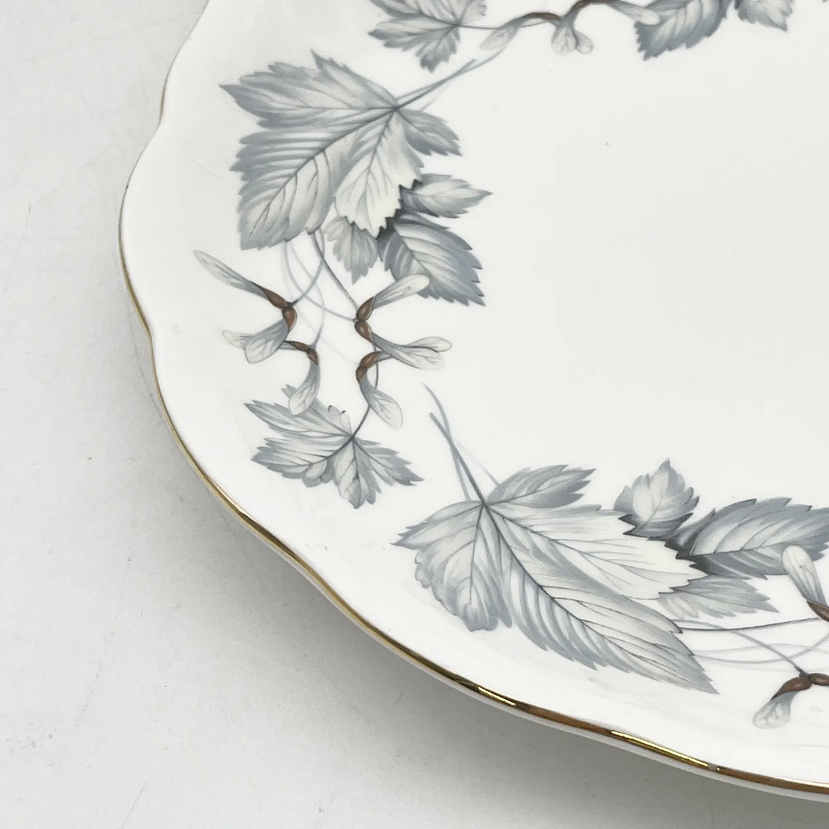 Royal Albert /主餐盘/ Silver Maple / 1950s- / Fine Bone China /英国/ 骨中国，叶柄，植物学，金轮辋，金彩装饰，英国葡萄酒，陶瓷，单色调，经典，西式餐具/[葡萄酒]