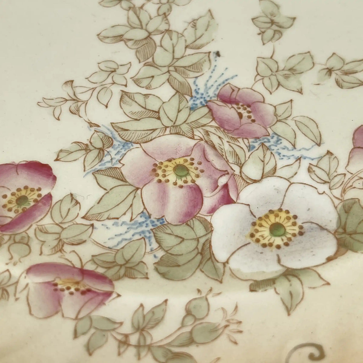Crown Devon / Dinner plate (main plate) / 1910s / Pottery / England / Hand painted, floral pattern, British antique, retro, gold mining / [Antique]