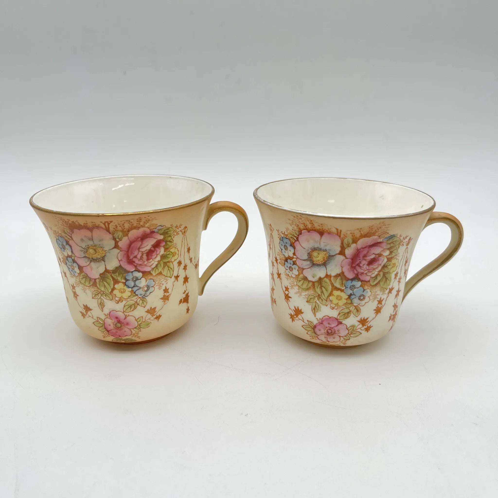 【アンティーク】 ティーカップ2P / Crown Devon (クラウンデボン) / Spring / 1910-1920年代 (推定) / 陶器 / イギリス / 銅板転写, 手彩色 金彩