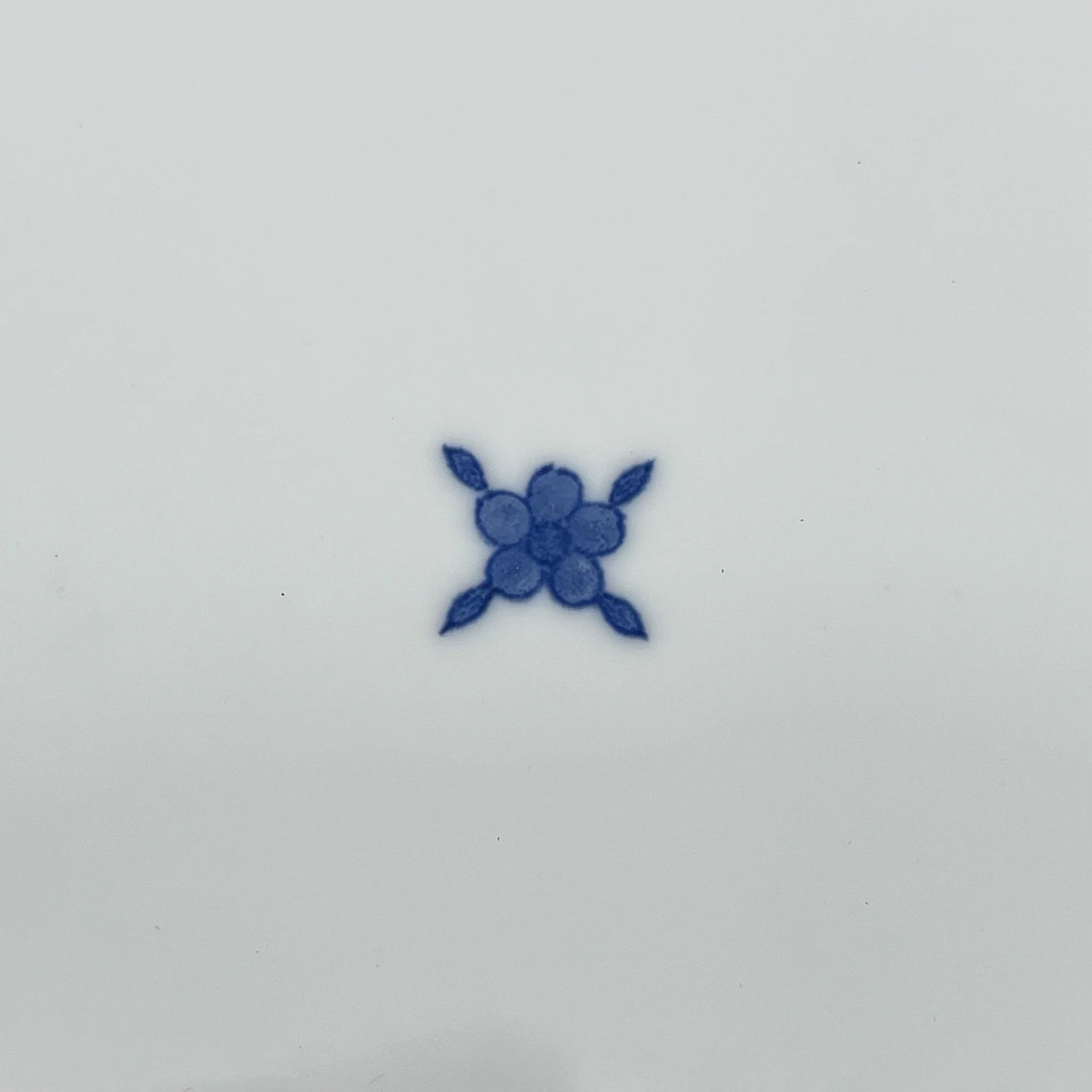 【リユース】 大皿 / たち吉 / 間取花文 / 日本 / 未使用 / 箱付き