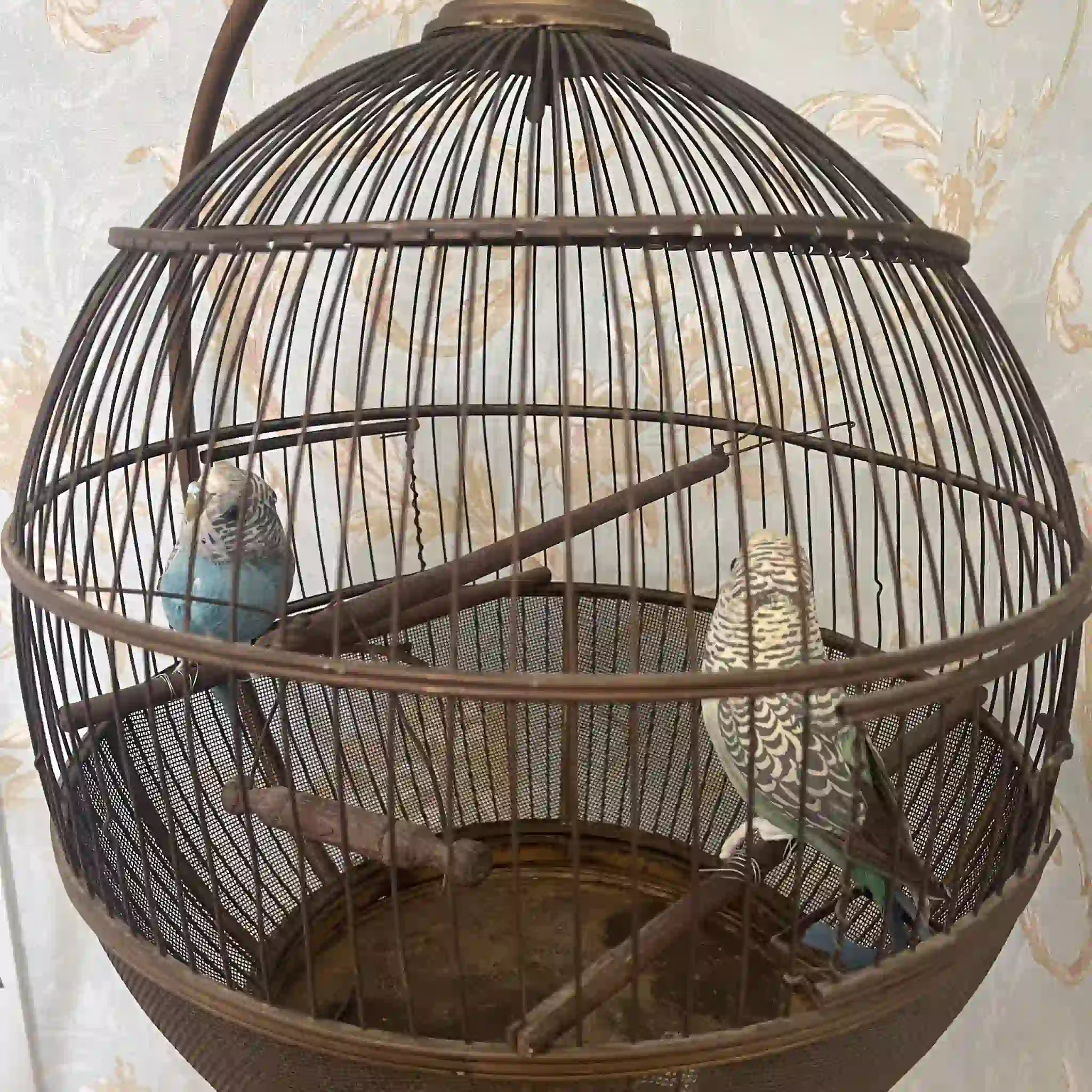 【アンティーク】 鳥カゴ / 
 / 20世紀初頭（推定） / 真鍮 / イギリス / イギリス直輸入