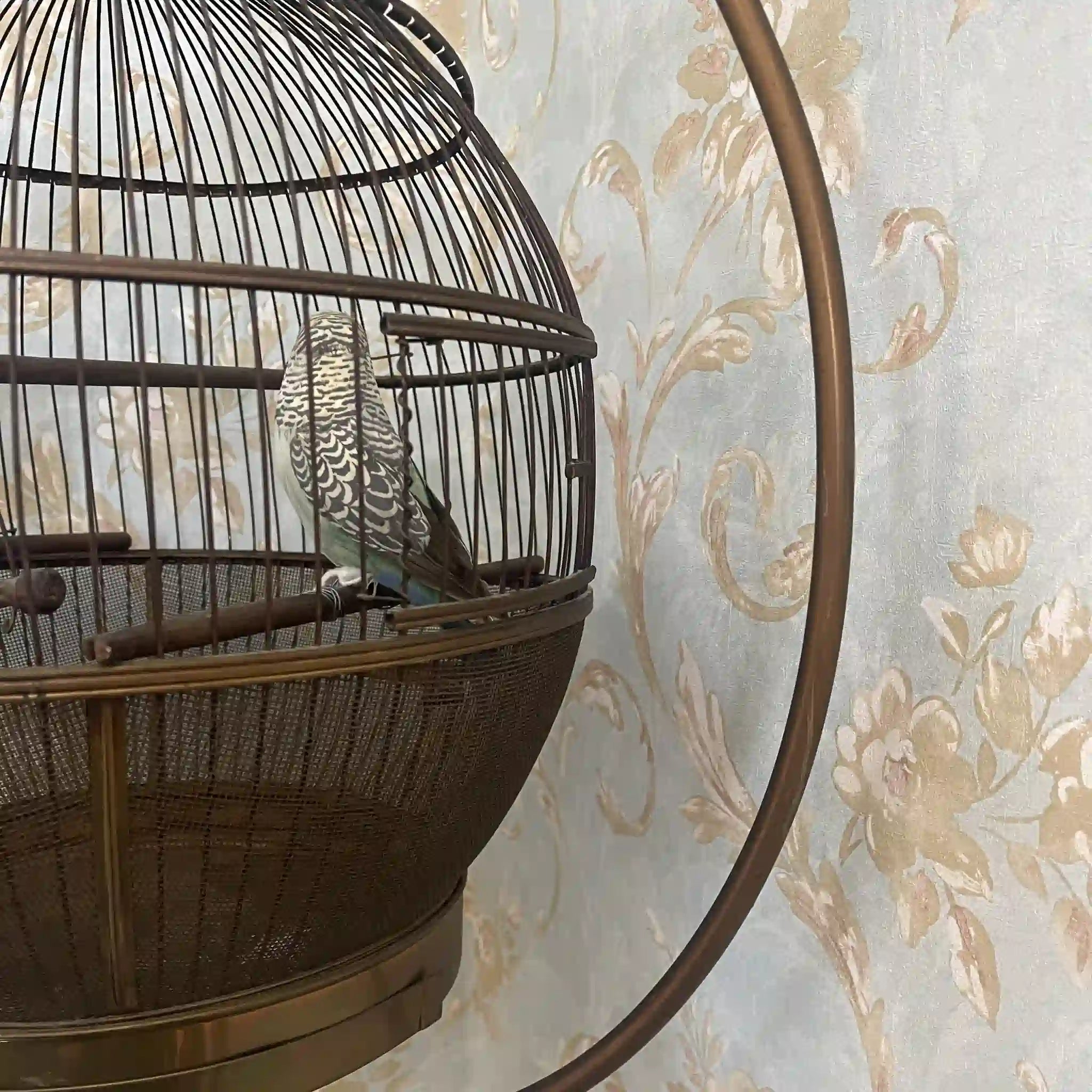 【アンティーク】 鳥カゴ / 
 / 20世紀初頭（推定） / 真鍮 / イギリス / イギリス直輸入